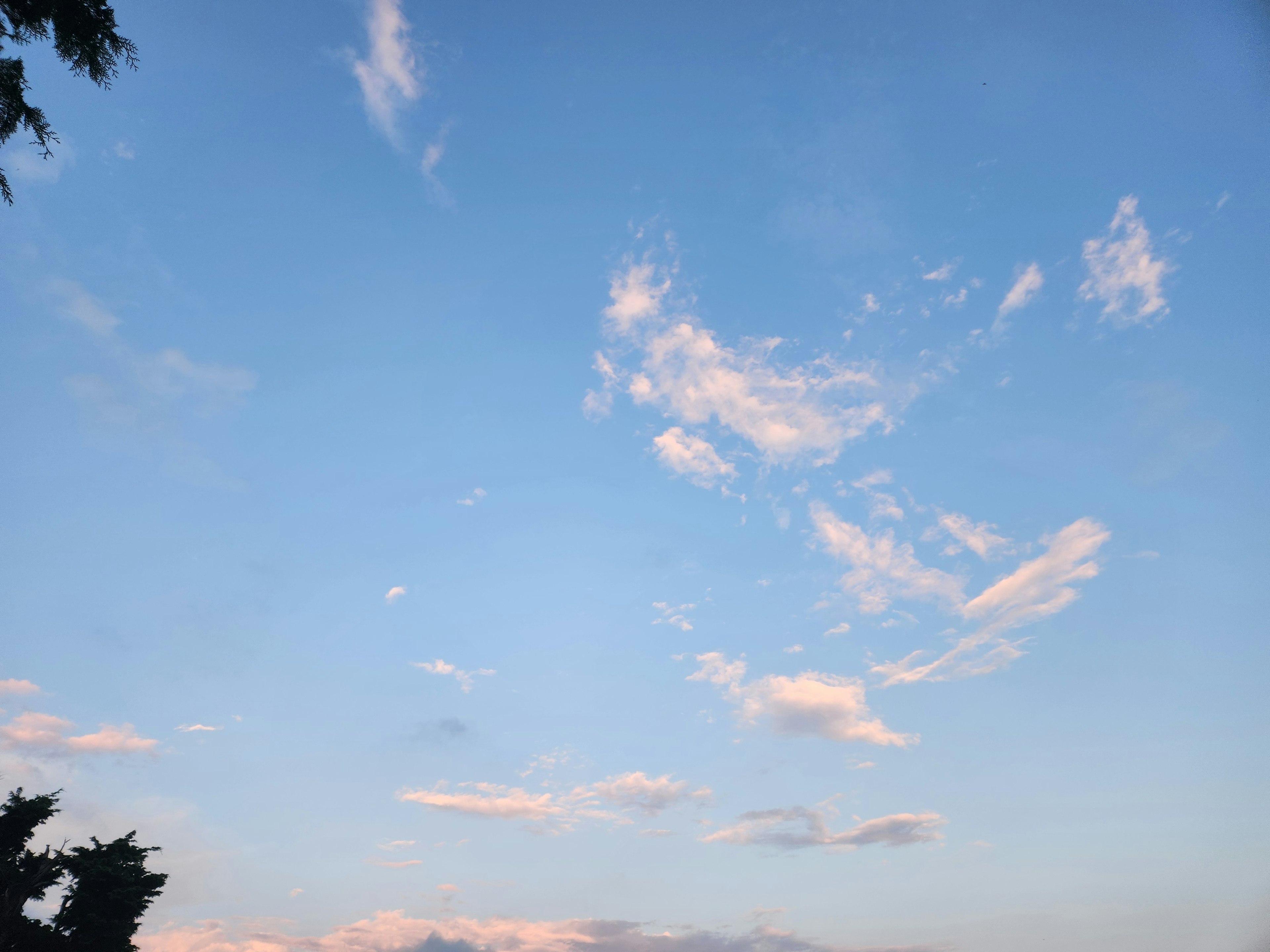 青空に浮かぶ薄い雲と柔らかな色合いの夕焼け