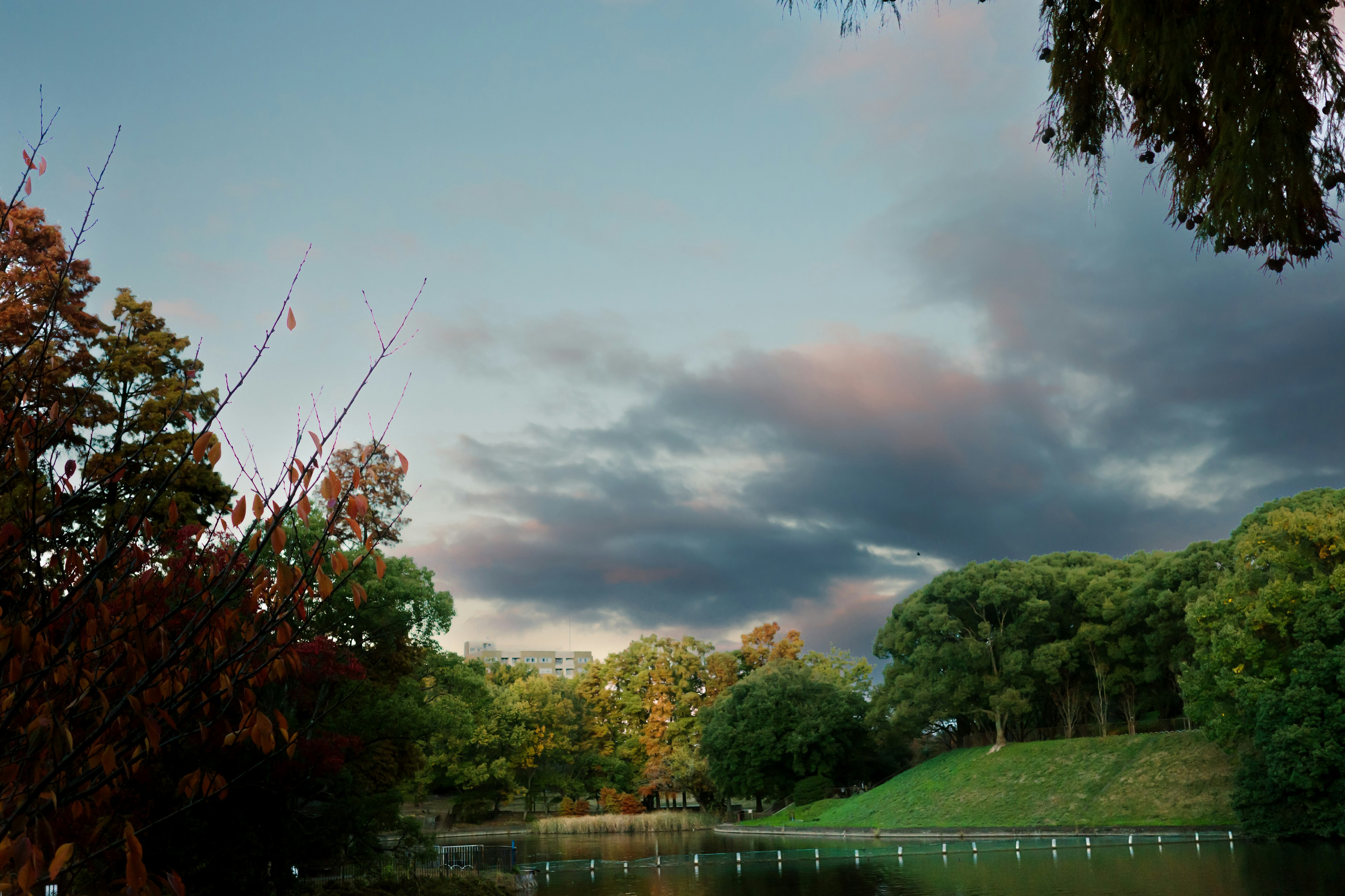 夕暮れの空と緑豊かな公園の景色