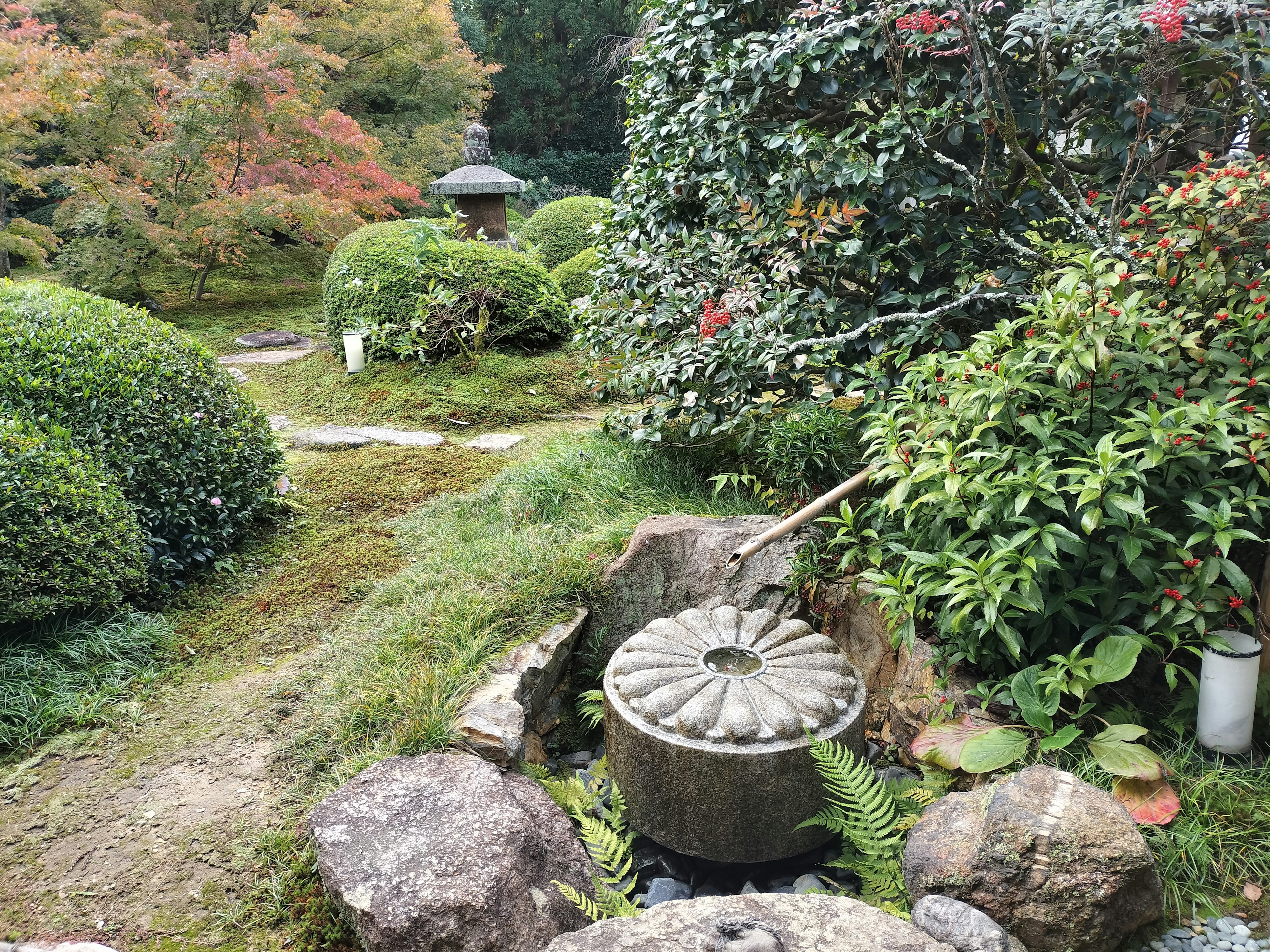 Taman Jepang yang indah dengan bak air batu dan vegetasi subur