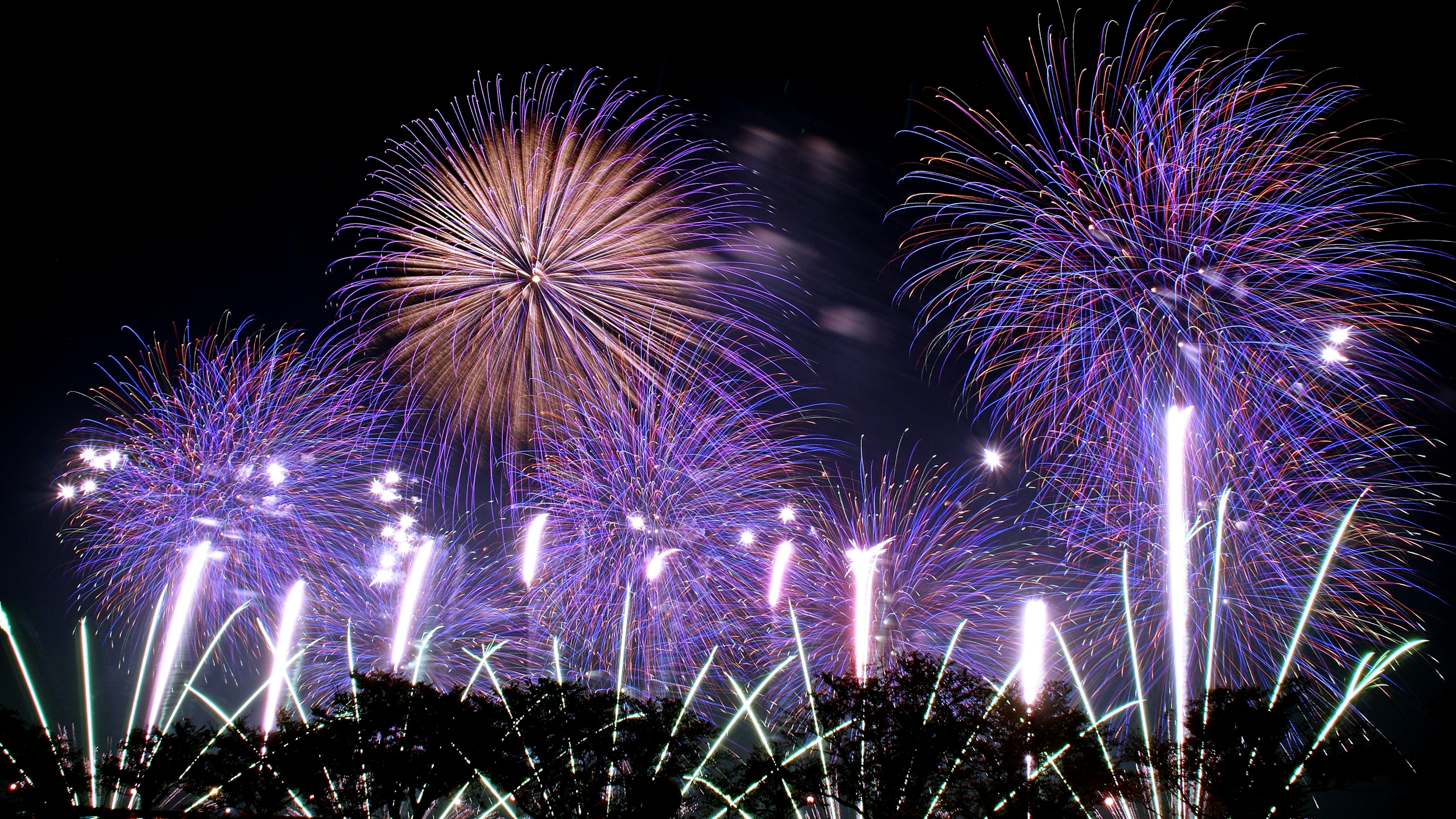 夜空に広がる紫と白の花火のショー