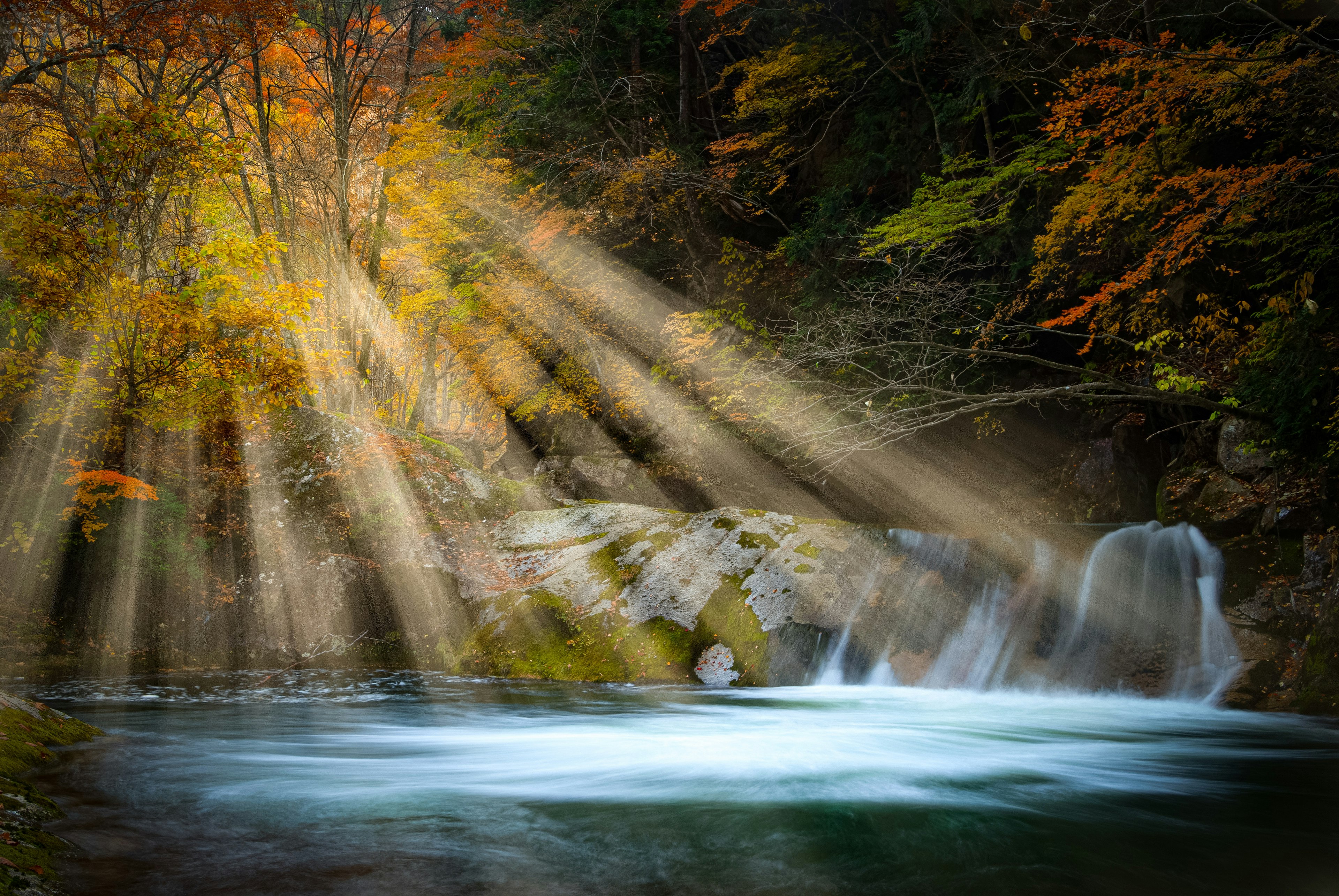 Cascada escénica rodeada de follaje otoñal con rayos de luz