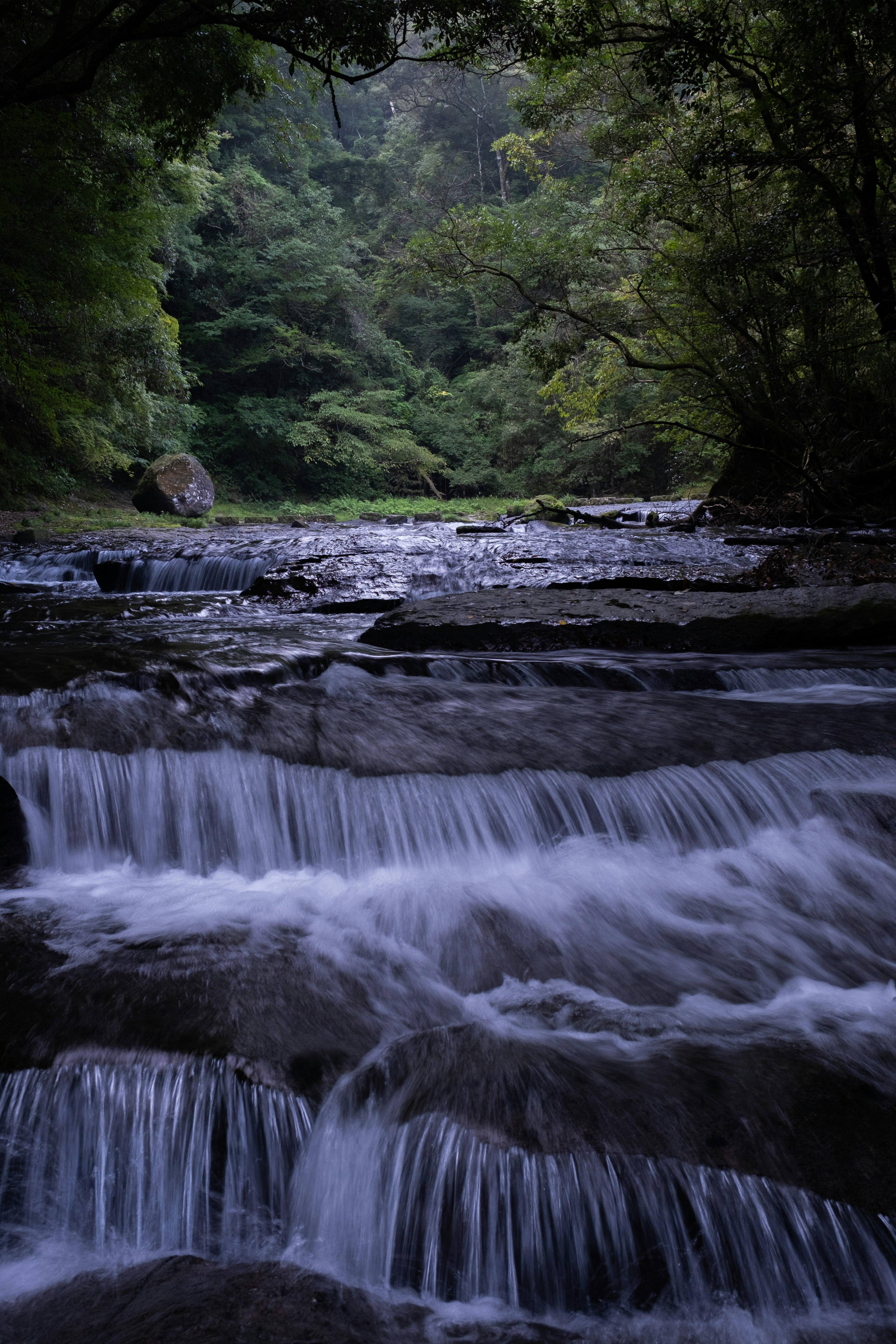 Serene river flow surrounded by lush greenery in a natural setting