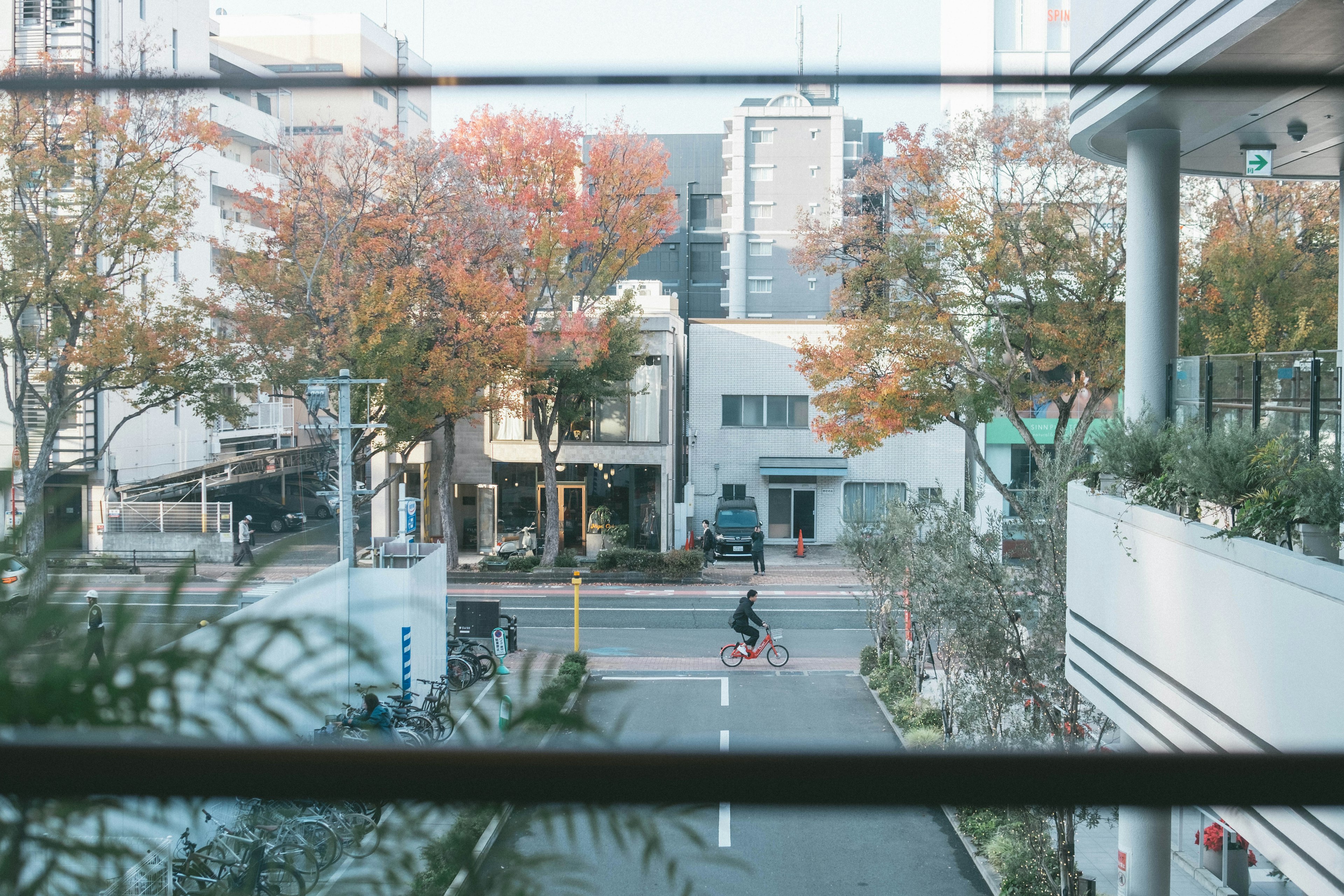 Vista de una calle otoñal con una persona montando en bicicleta vista a través de una ventana