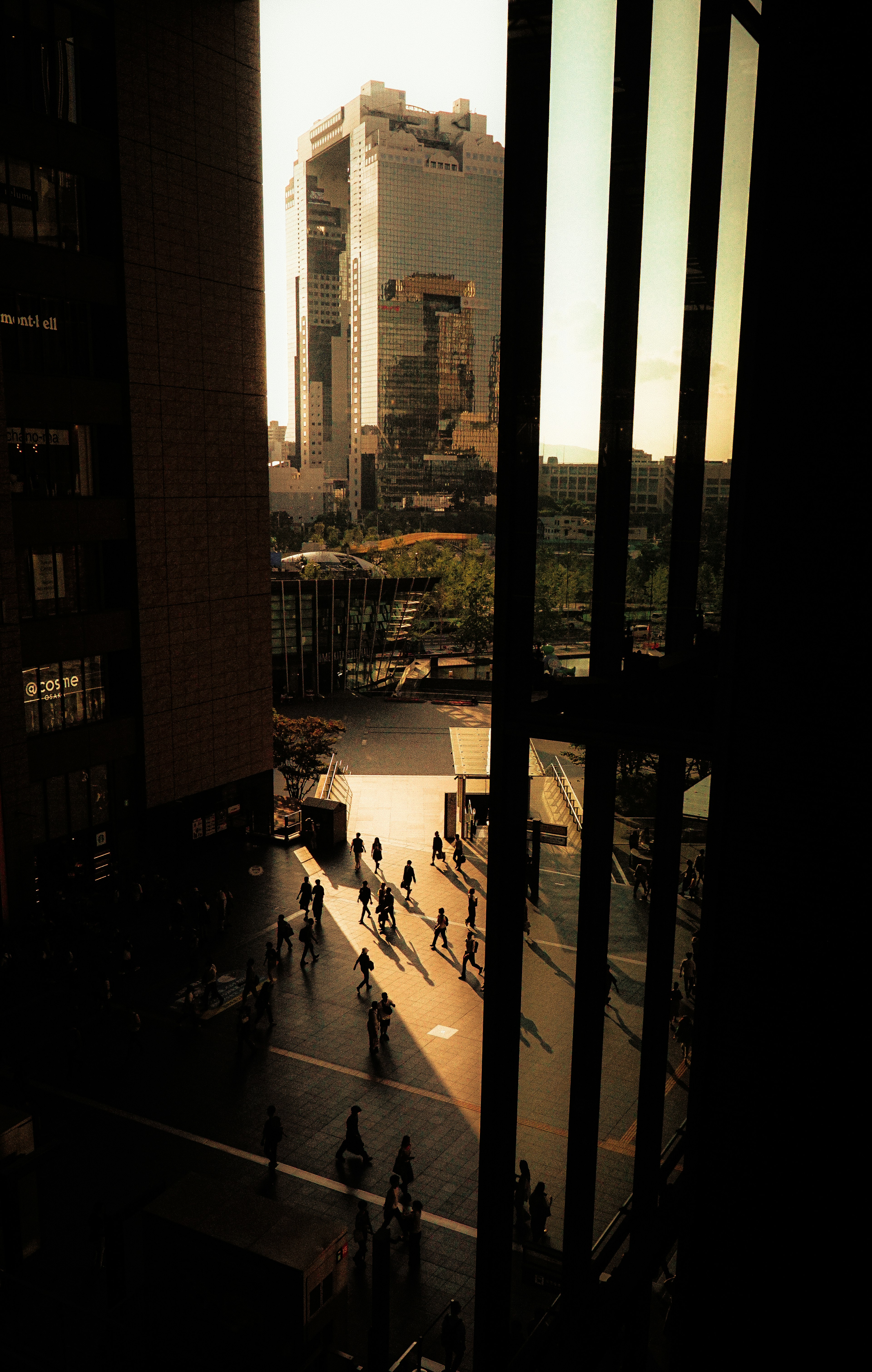 Cityscape view from a building window with silhouettes of people