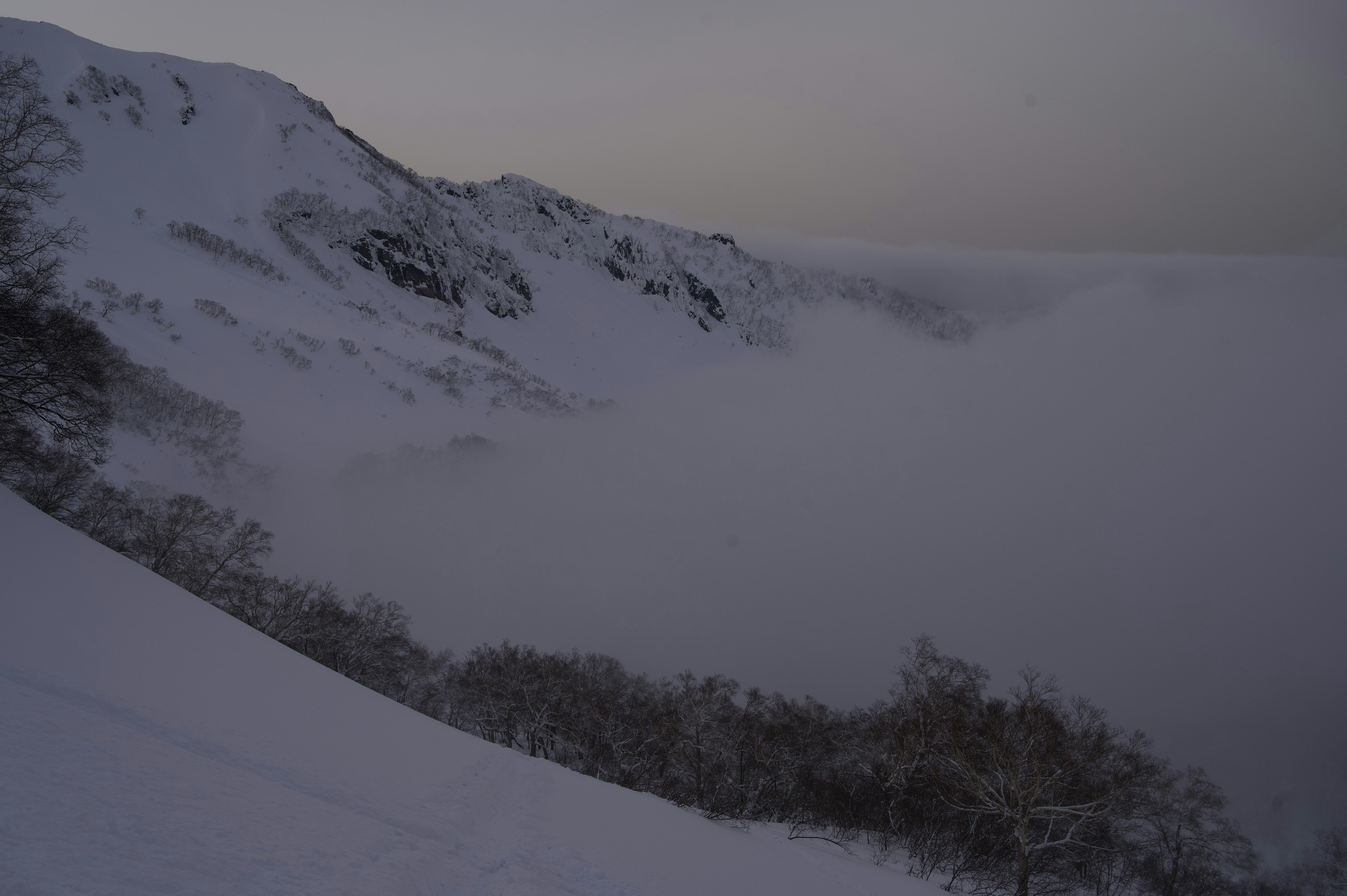 Paysage calme de montagnes enneigées et d'une vallée enveloppée de brouillard