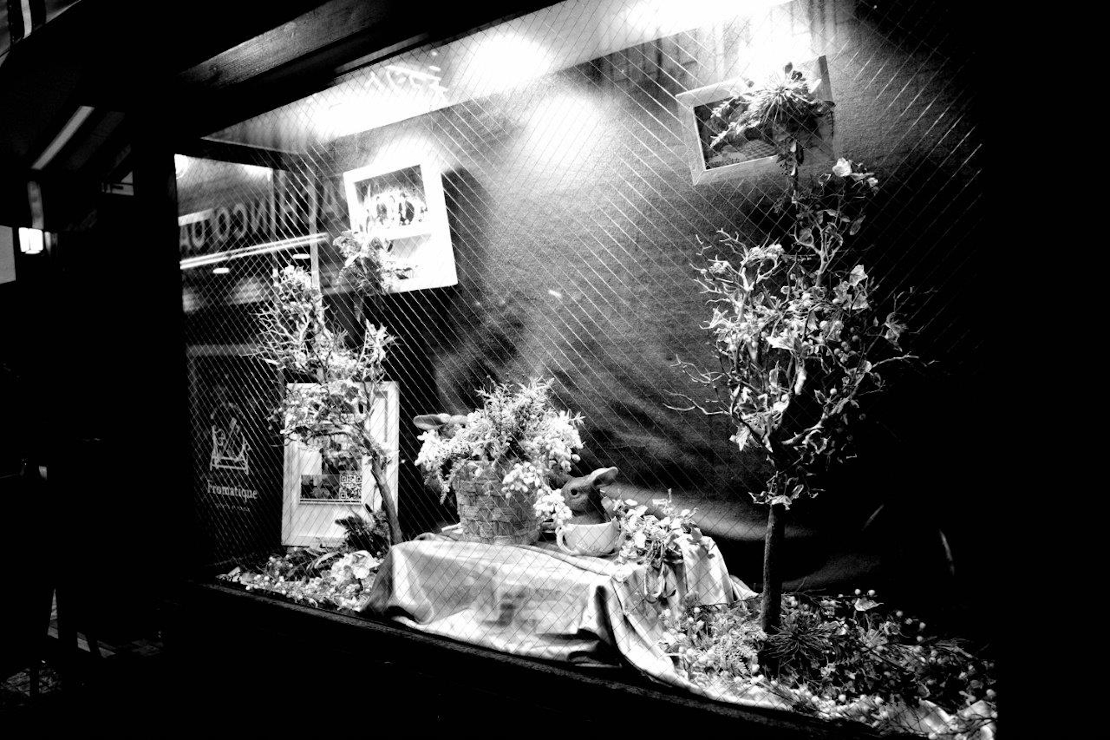 Black and white window display featuring plants and decorations