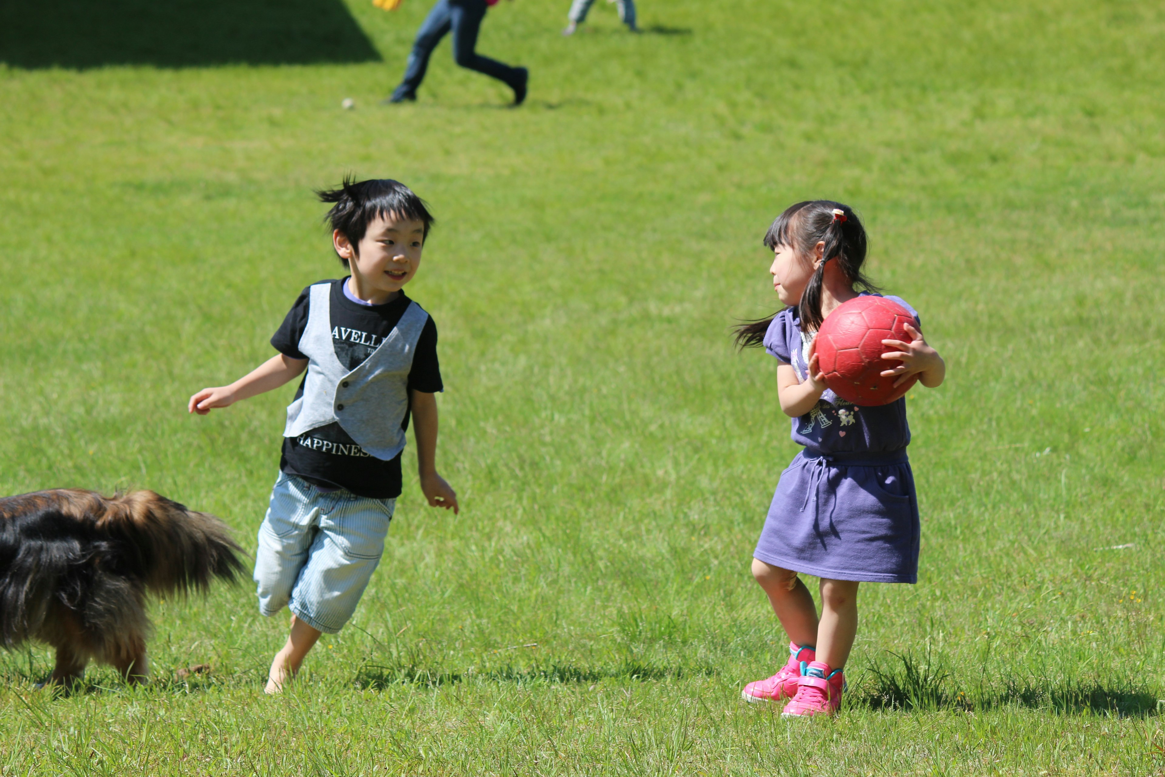 子供たちが公園で遊んでいる様子犬が近くにいる