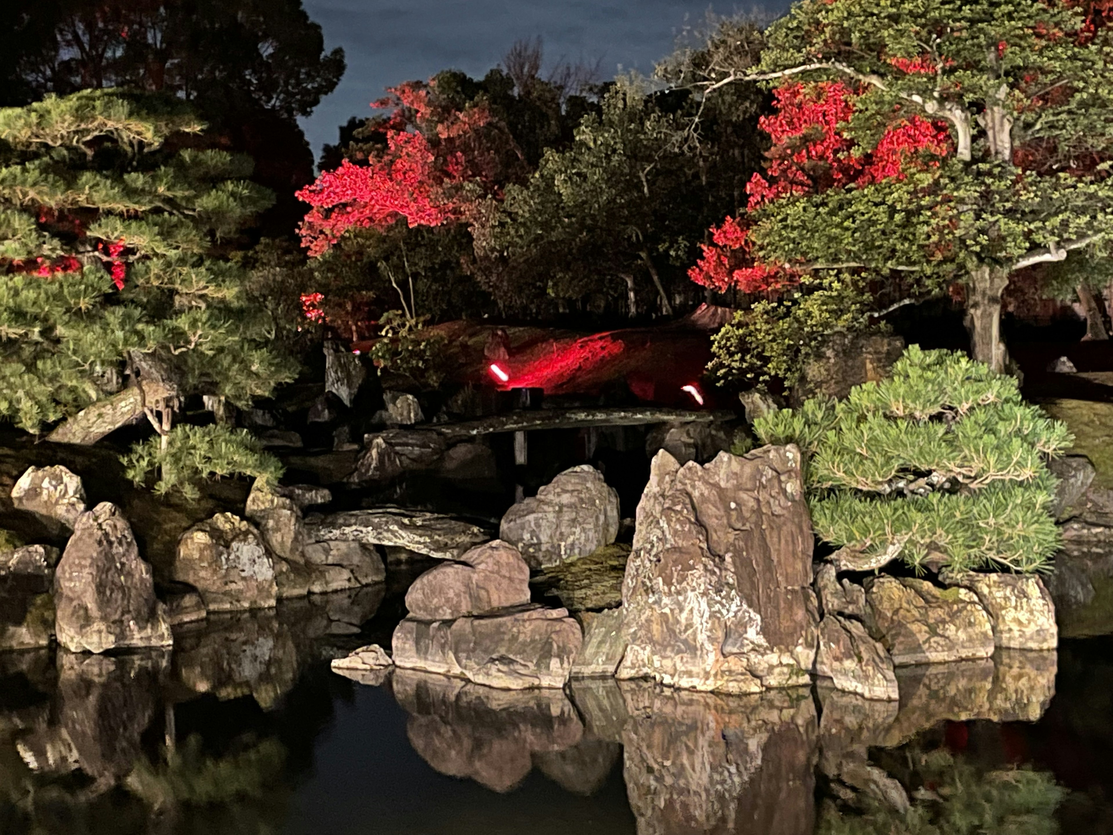 夜の庭園の池に映る紅葉した木々と岩