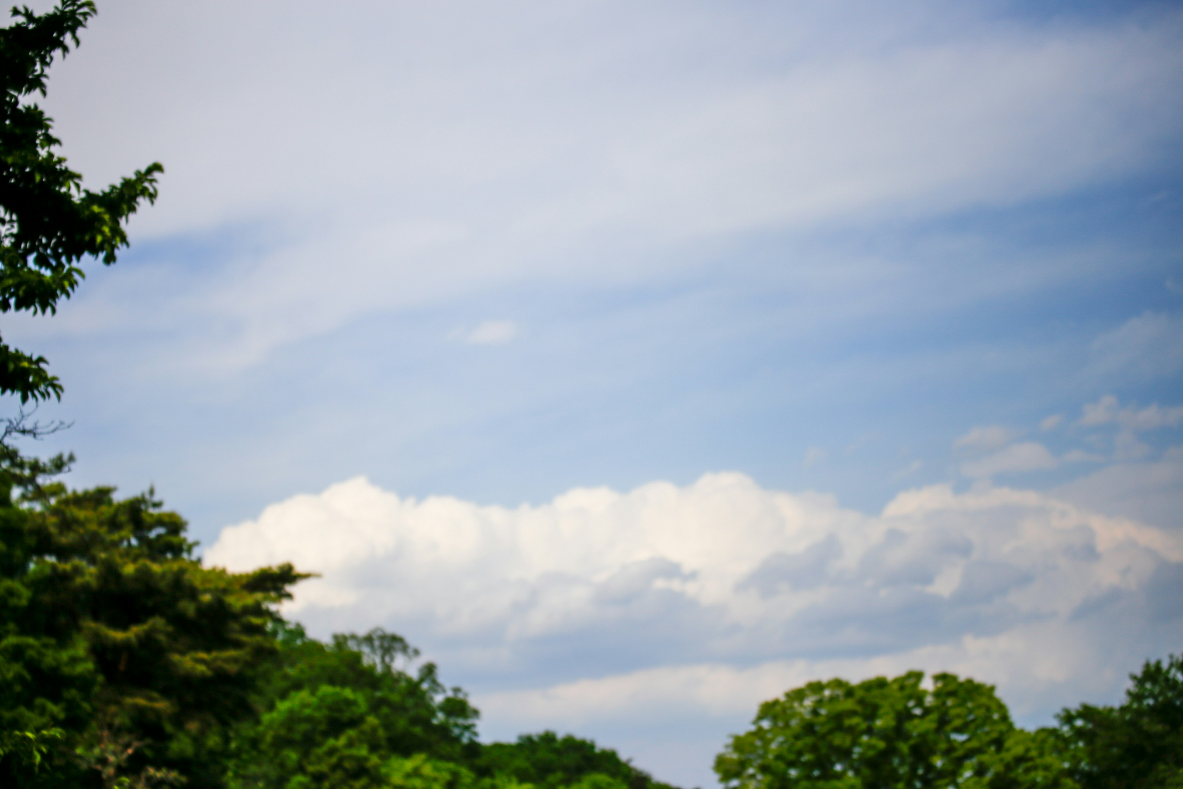 A landscape featuring blue sky and fluffy white clouds with green trees in the foreground