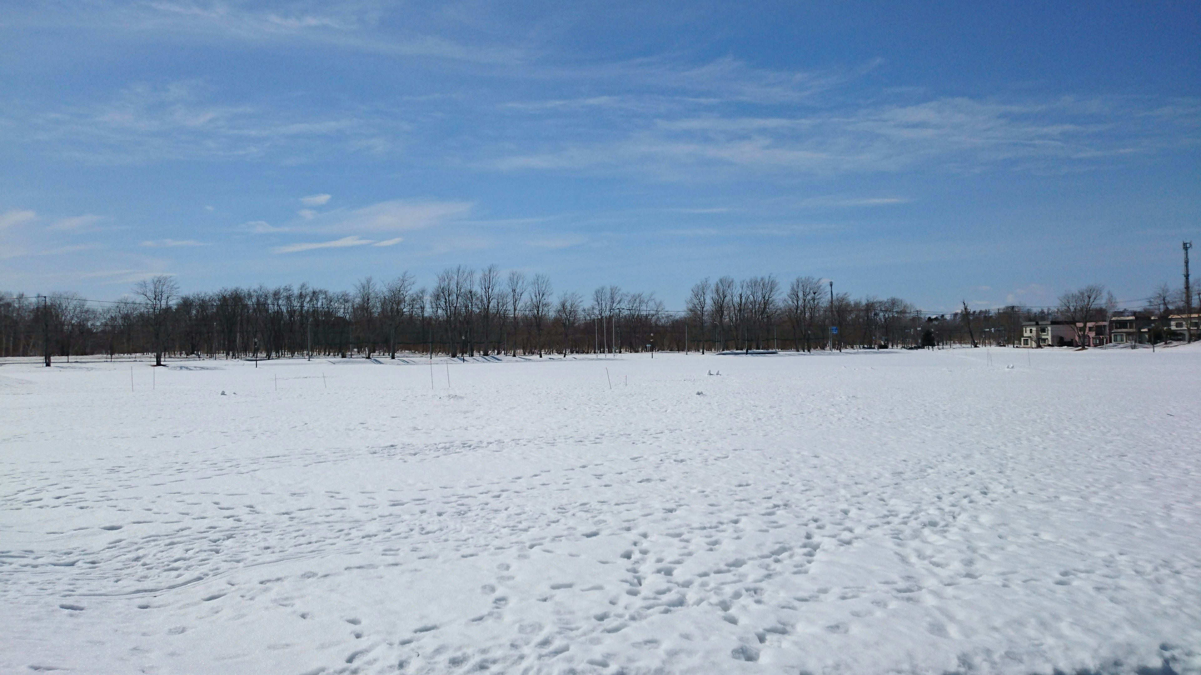 广阔的雪地景观在蓝天之下