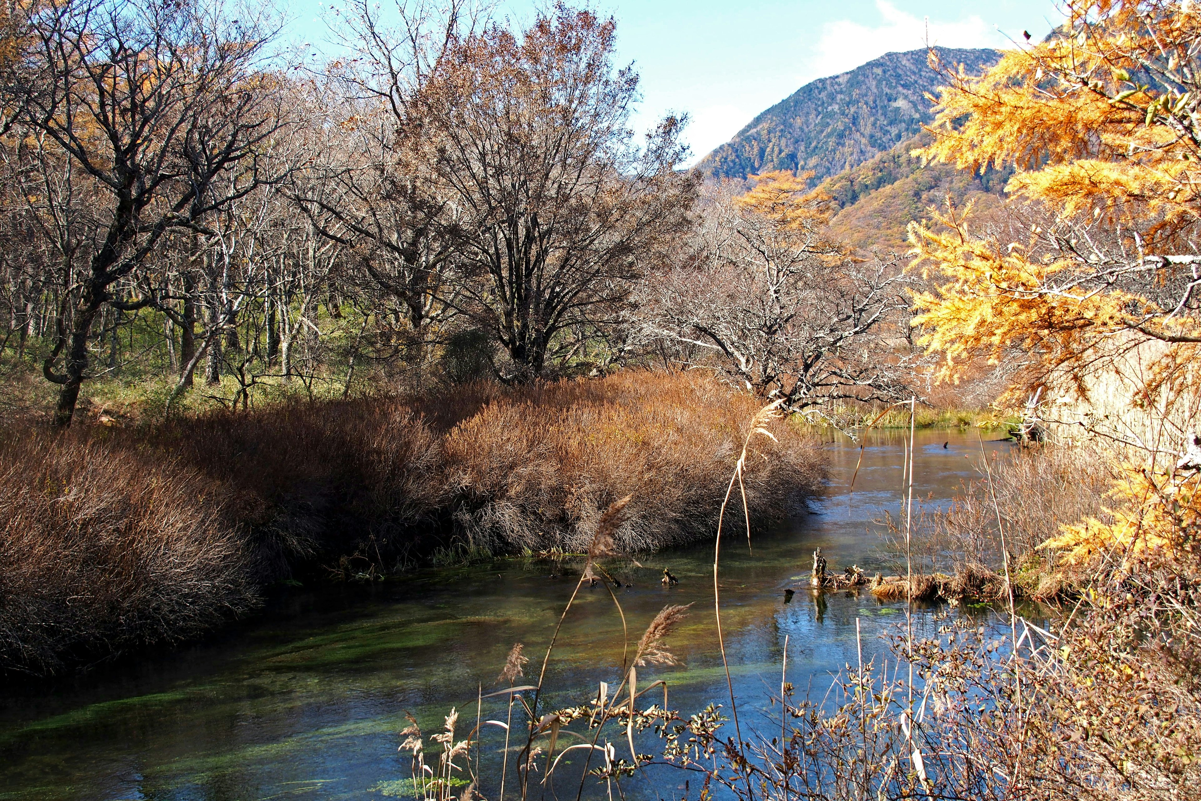 Serene river landscape with autumn trees and mountain backdrop