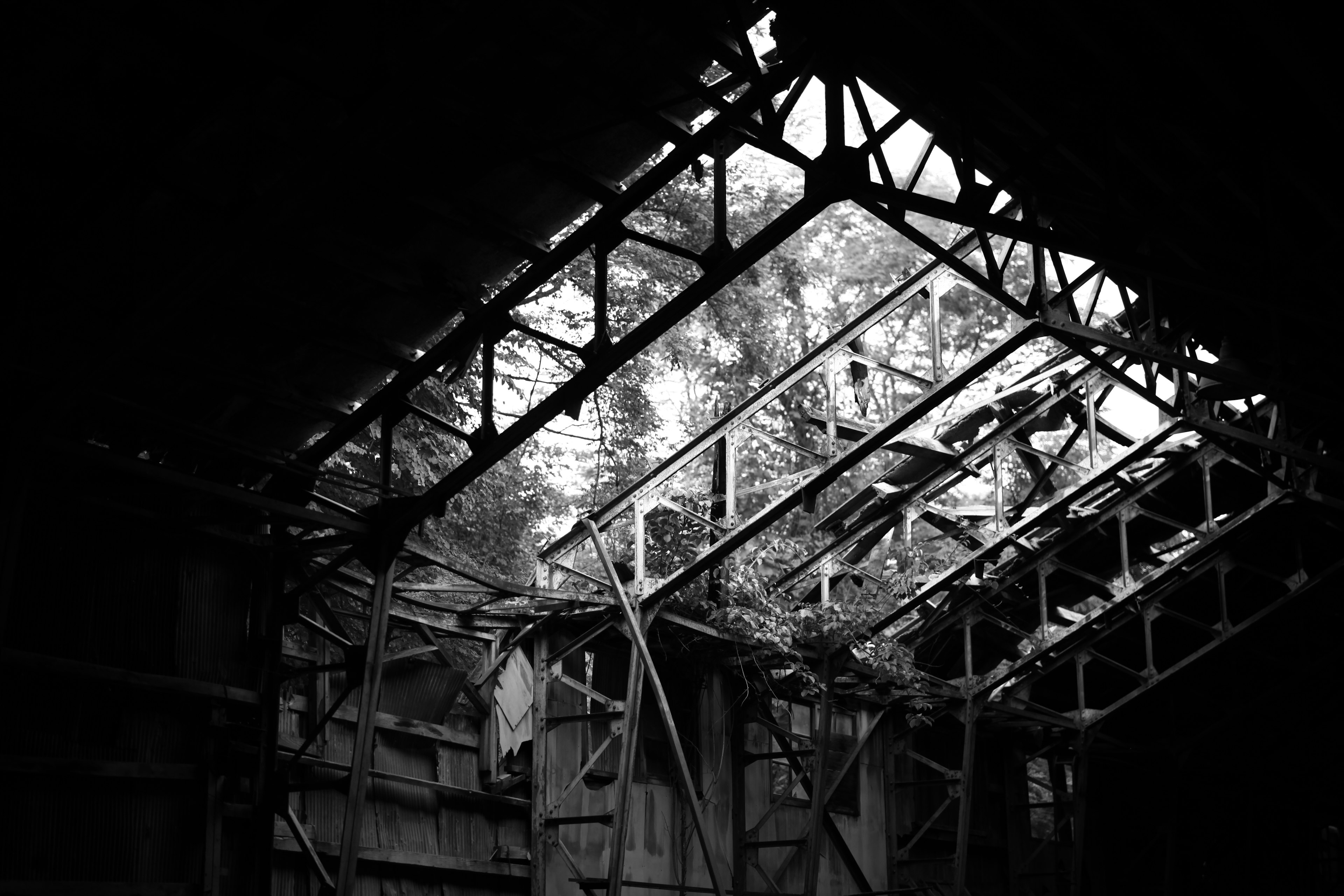 Old building with a broken roof allowing light and greenery to enter