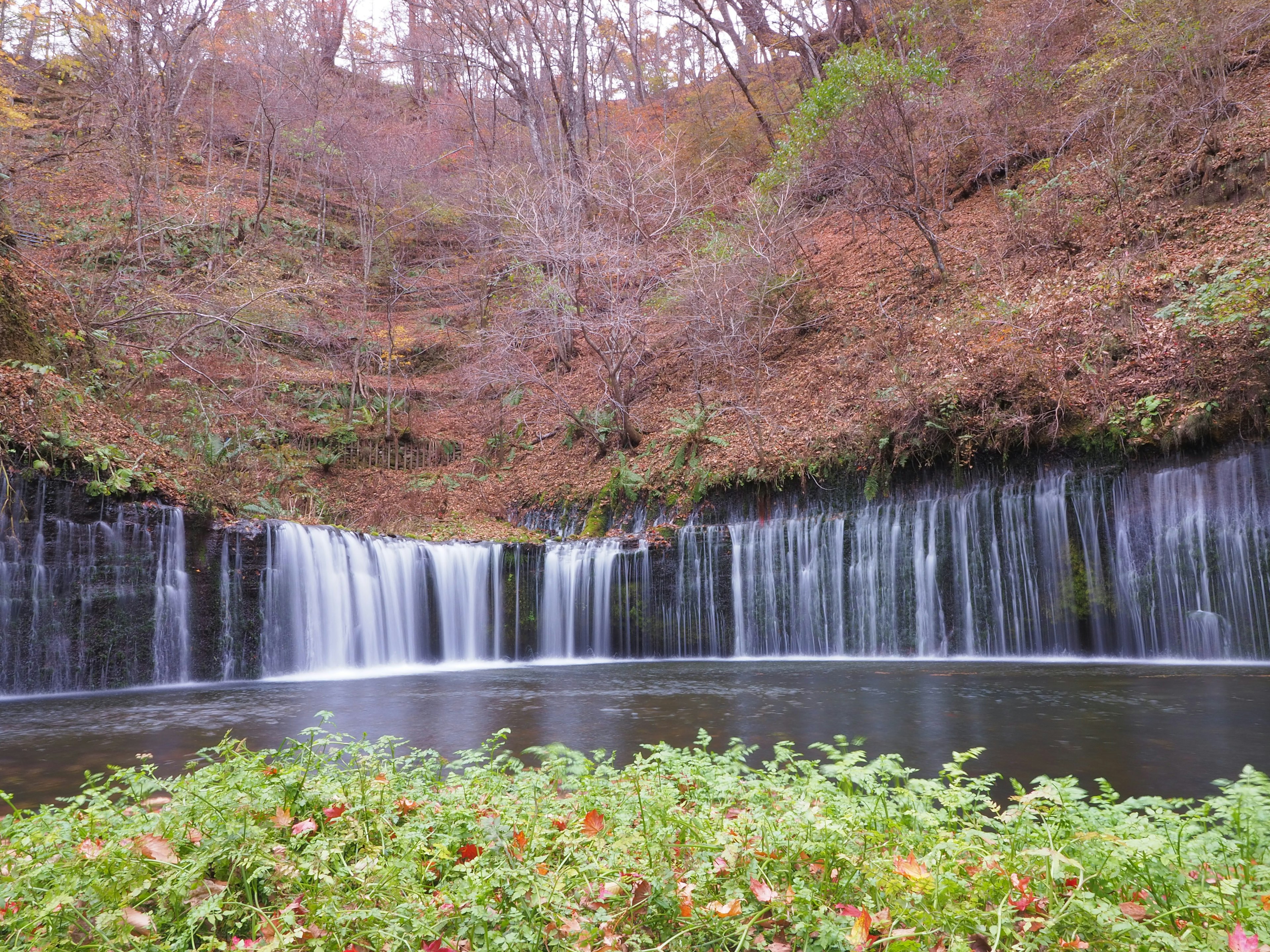 Uno stagno sereno circondato da foglie autunnali e una bella cascata