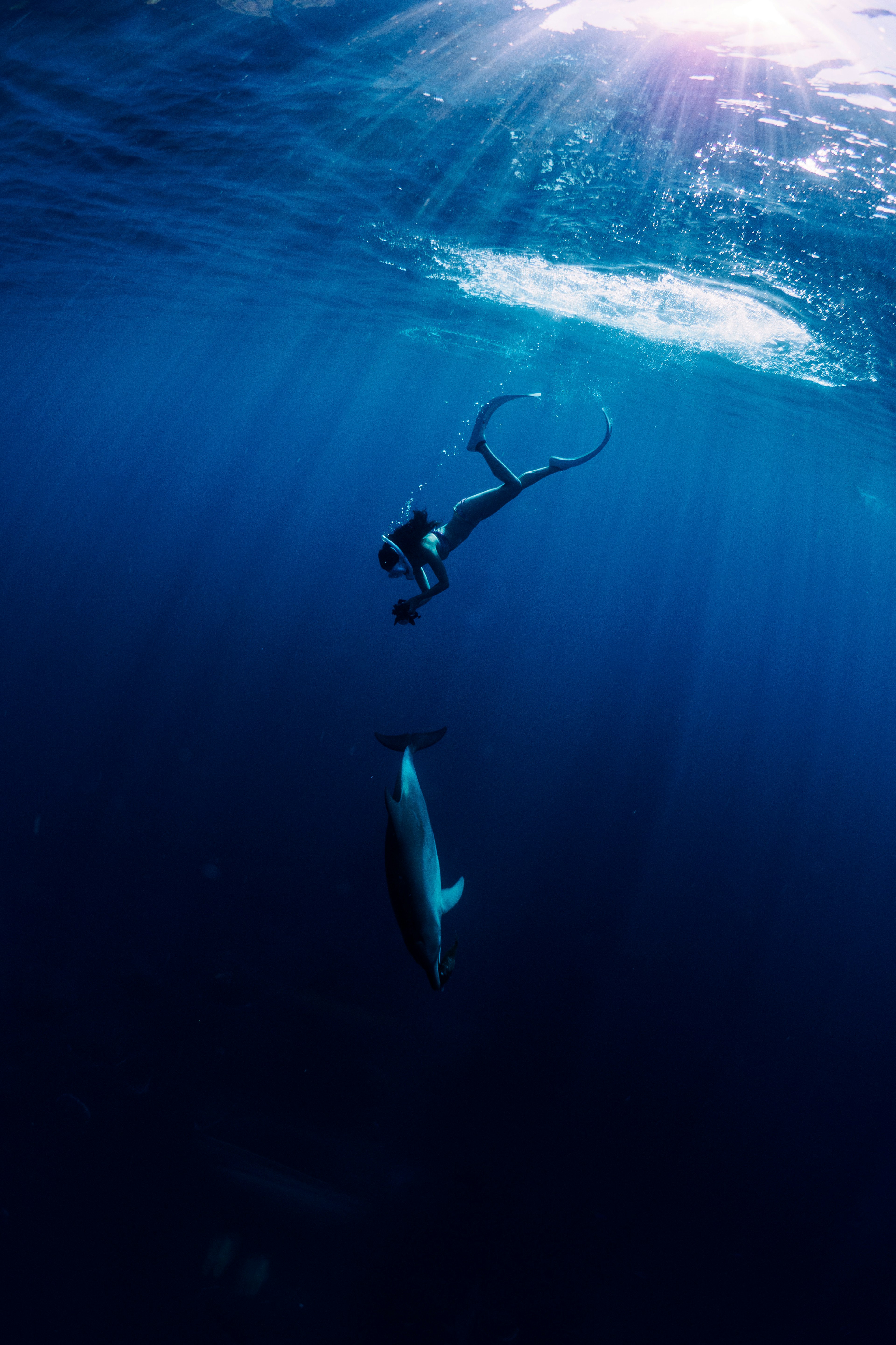 Un plongeur nageant sous l'eau avec un requin en dessous