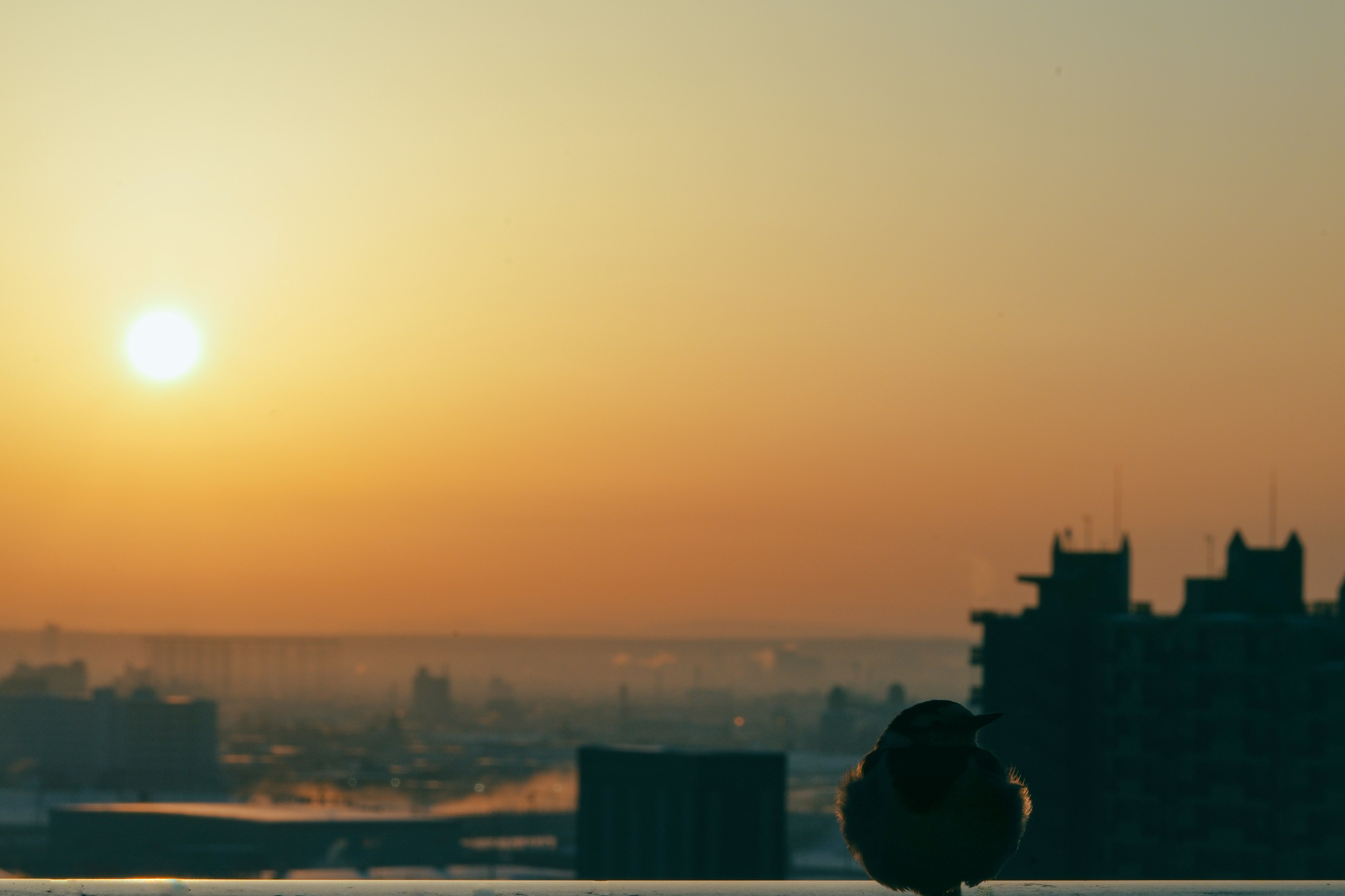 Silhouette d'une personne contre un coucher de soleil sur une ligne d'horizon urbaine