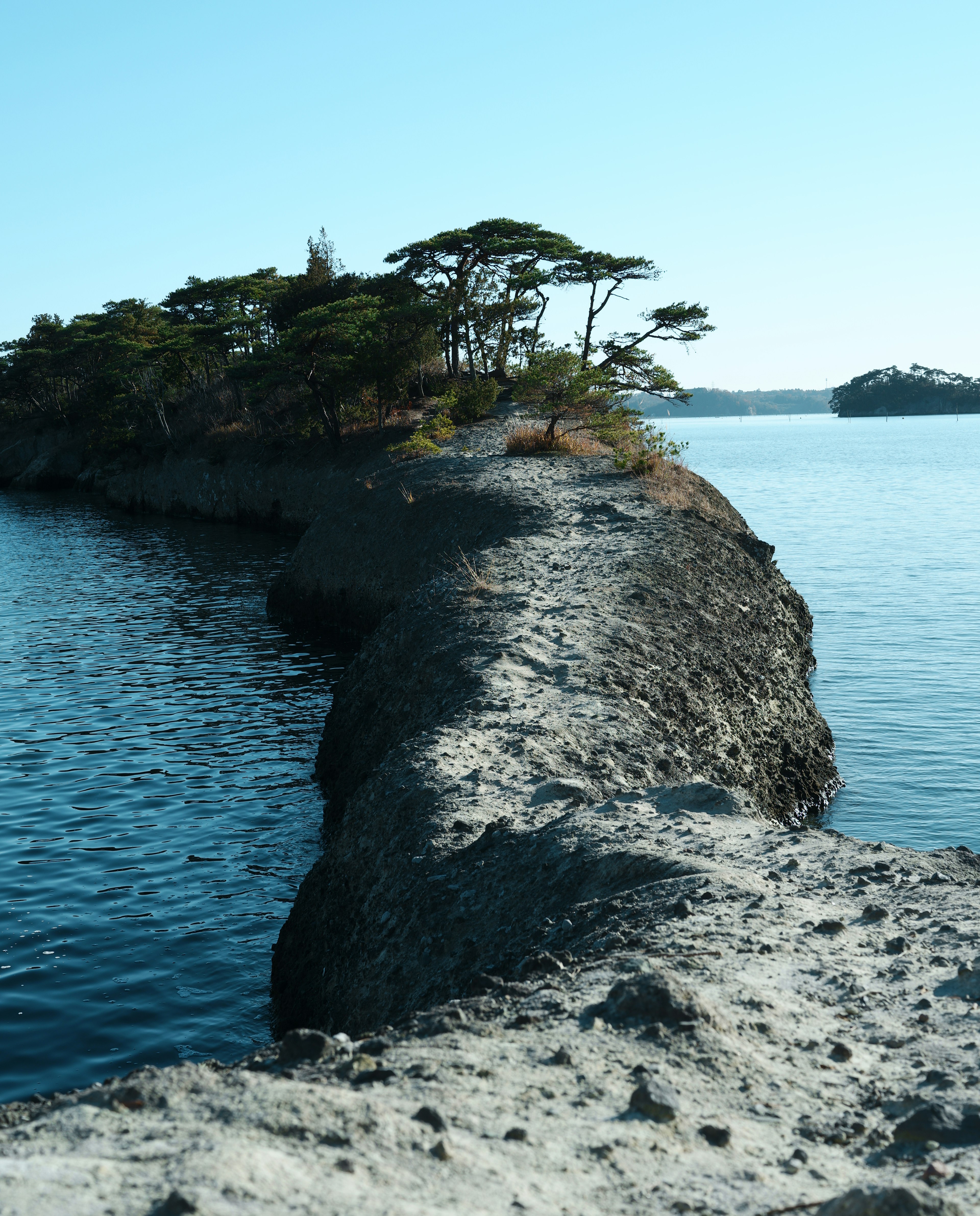 静かな水面に浮かぶ小さな島と周囲の緑の木々