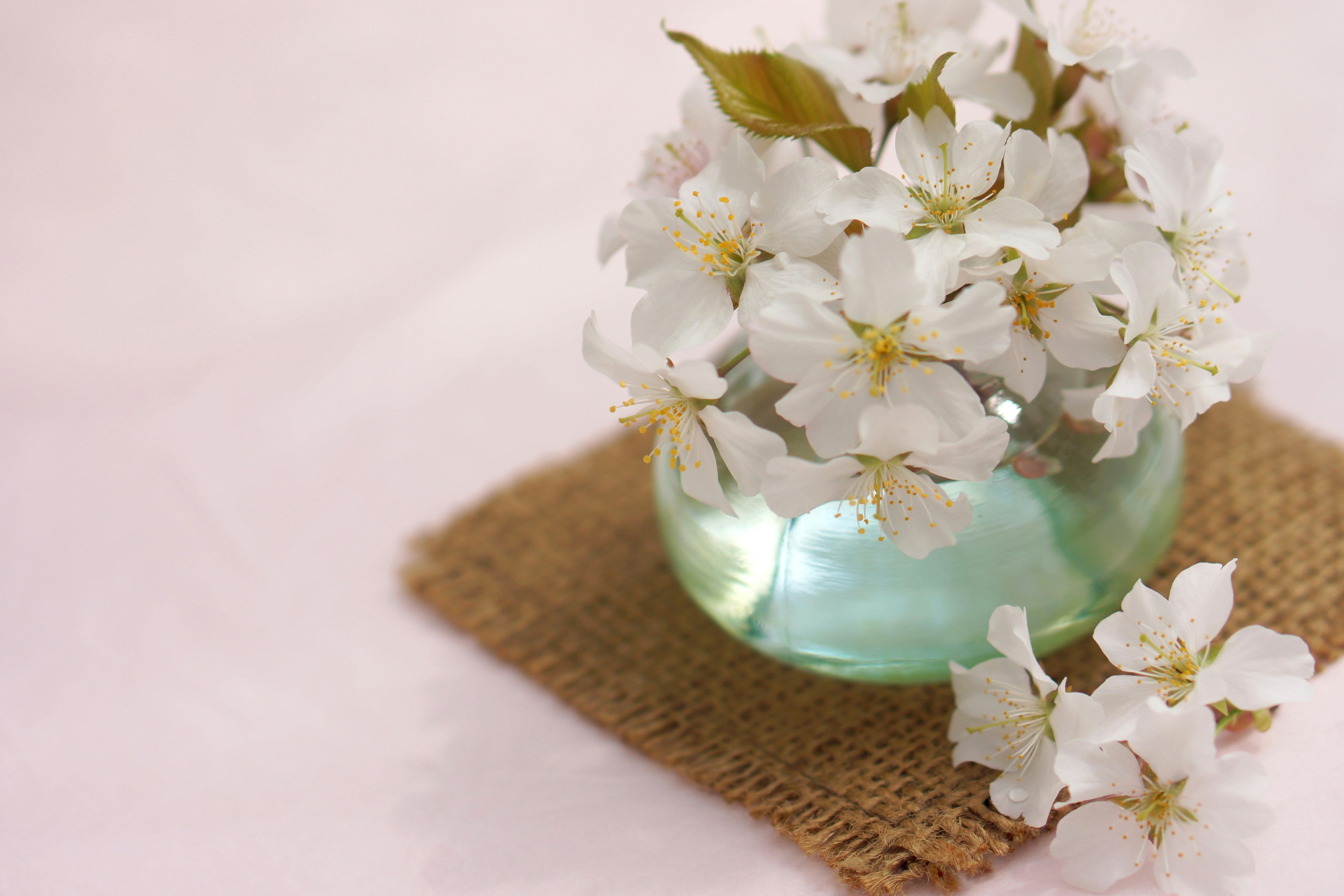 Small glass vase with white flowers placed on burlap fabric