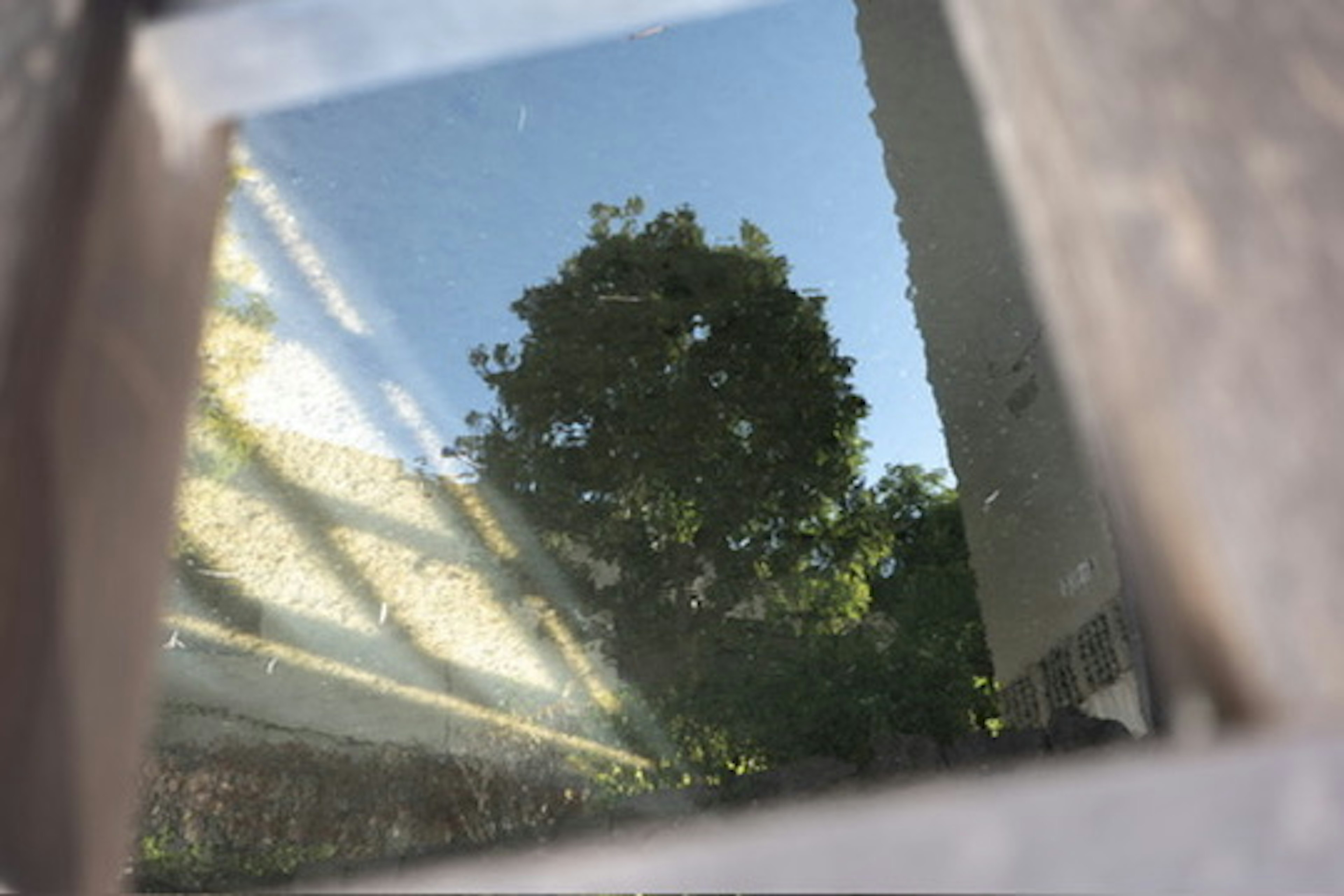 Riflesso in una finestra che mostra cielo blu e silhouette di un albero