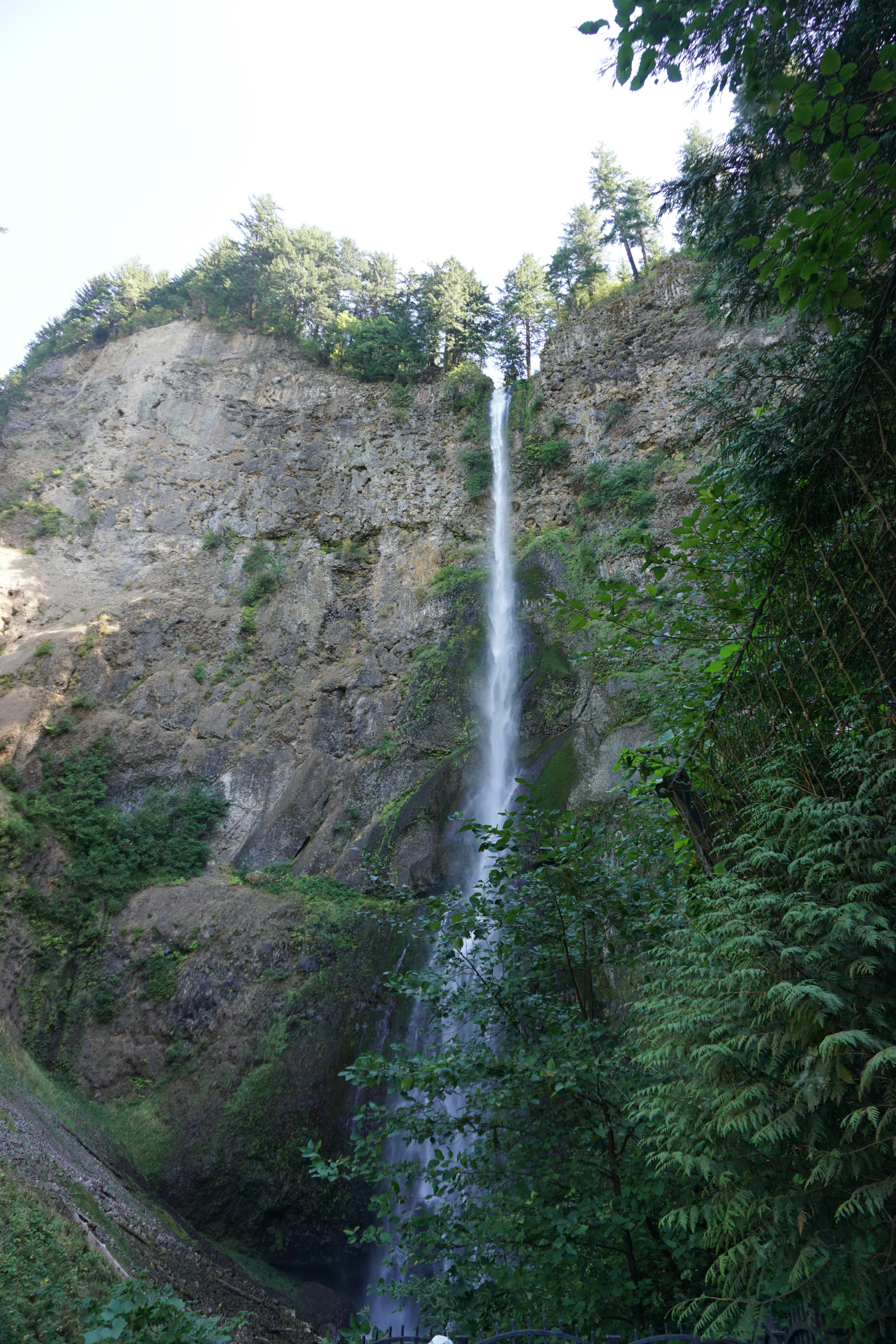 Una impresionante cascada que cae por un acantilado verde