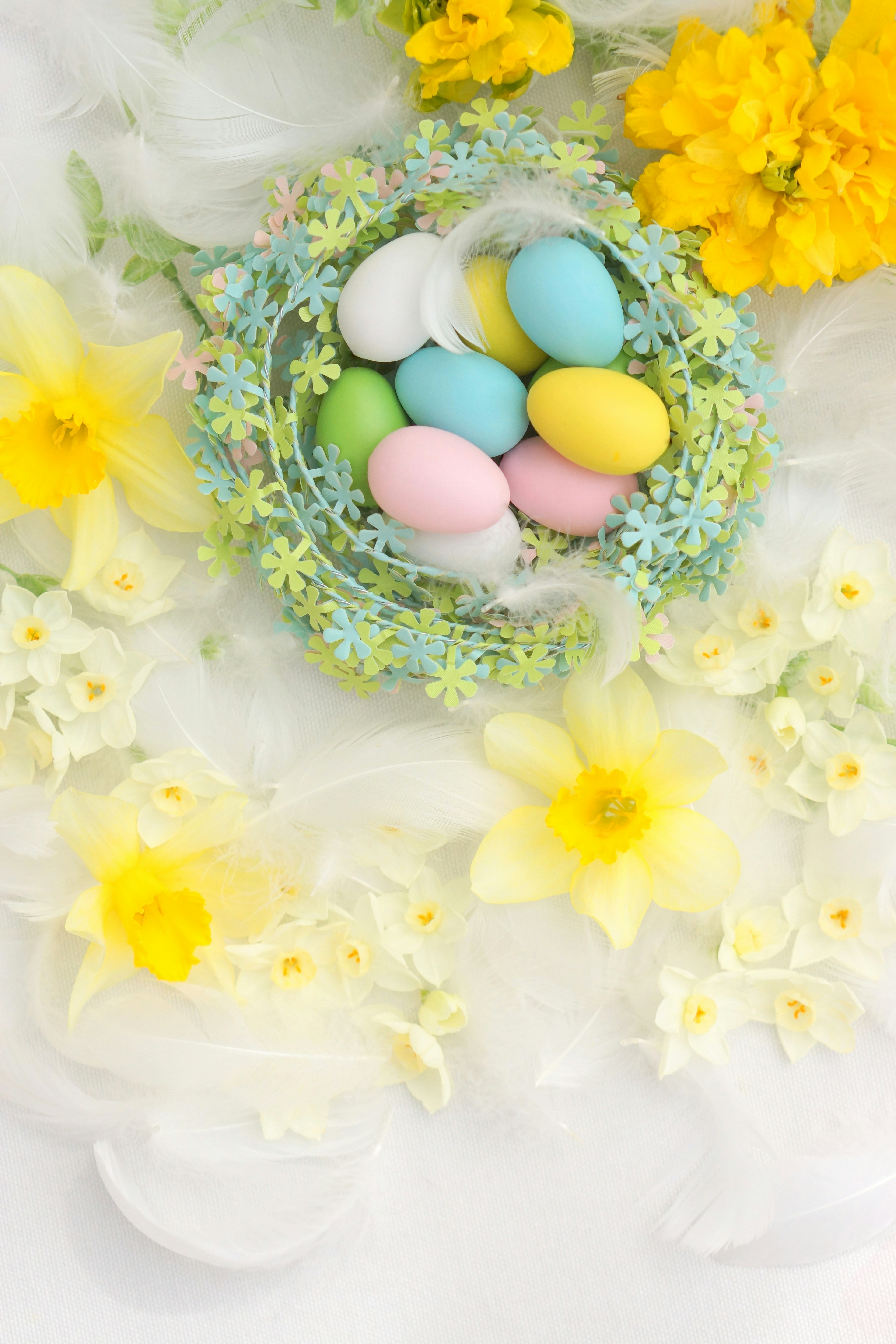 Colorful eggs in a blue nest with yellow flowers in the background