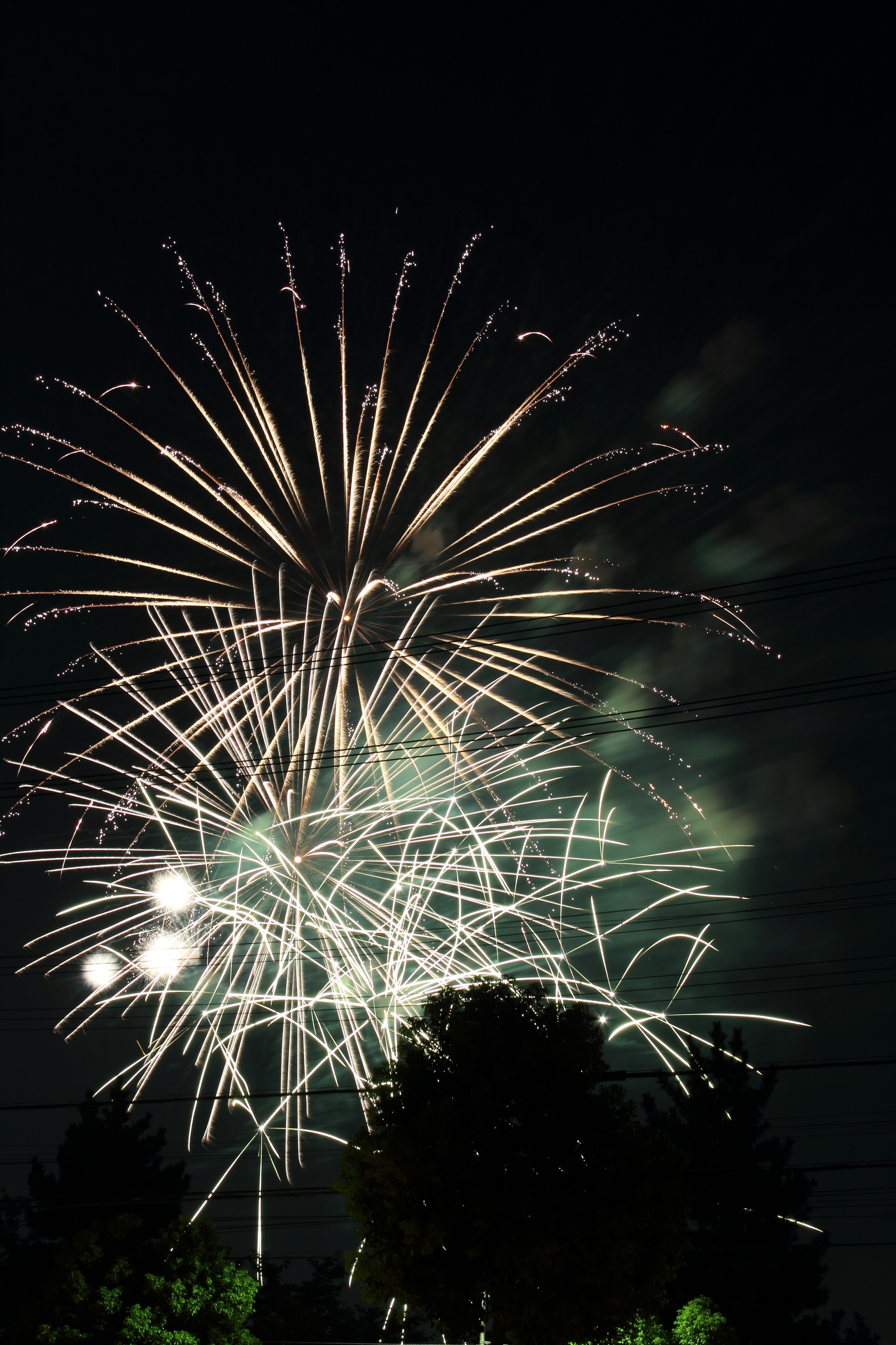 A vibrant display of fireworks in the night sky