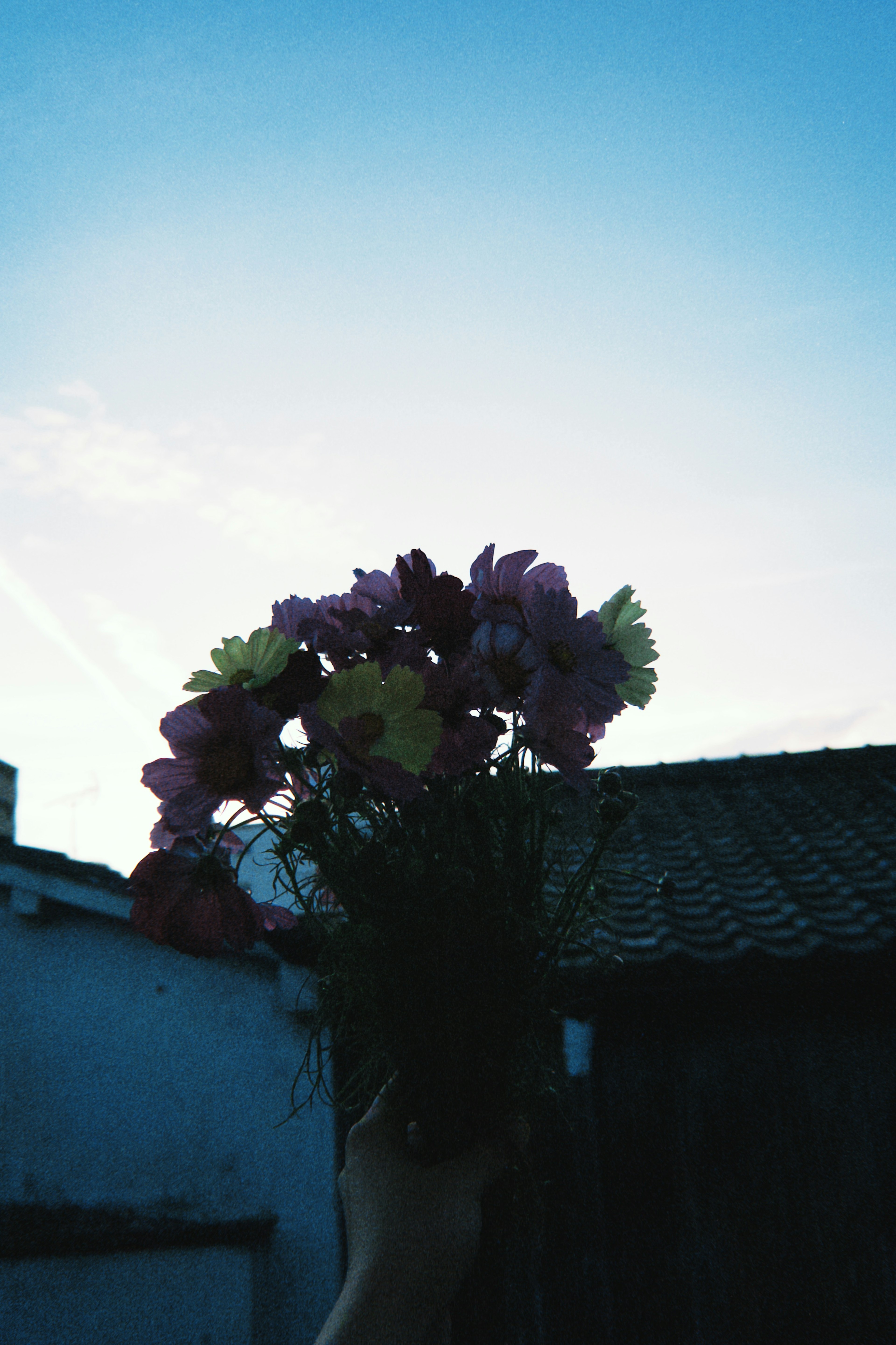 Silhouette di una mano che tiene un mazzo di fiori contro un cielo blu