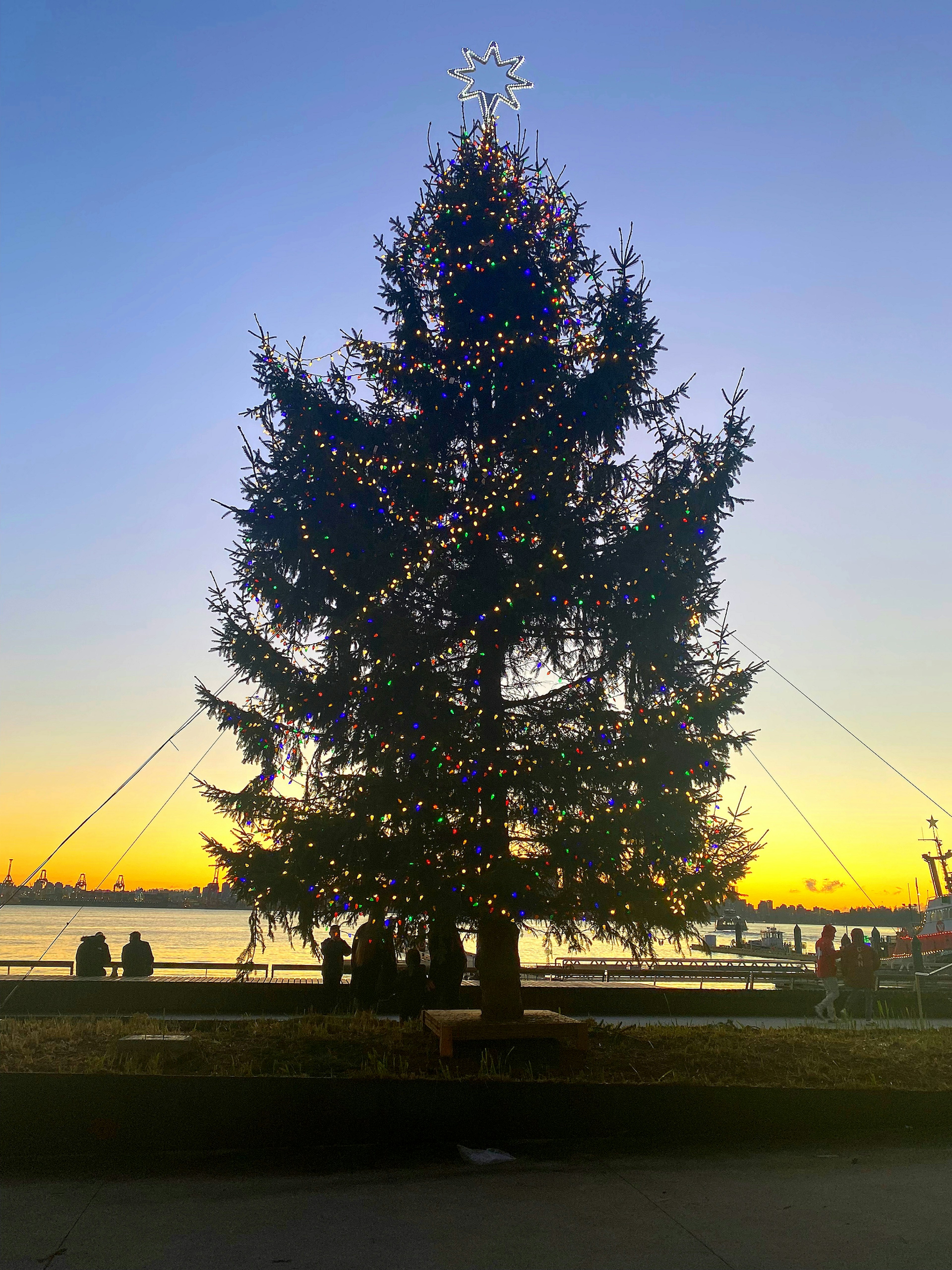 夕焼けを背景にしたクリスマスツリーに輝くイルミネーション