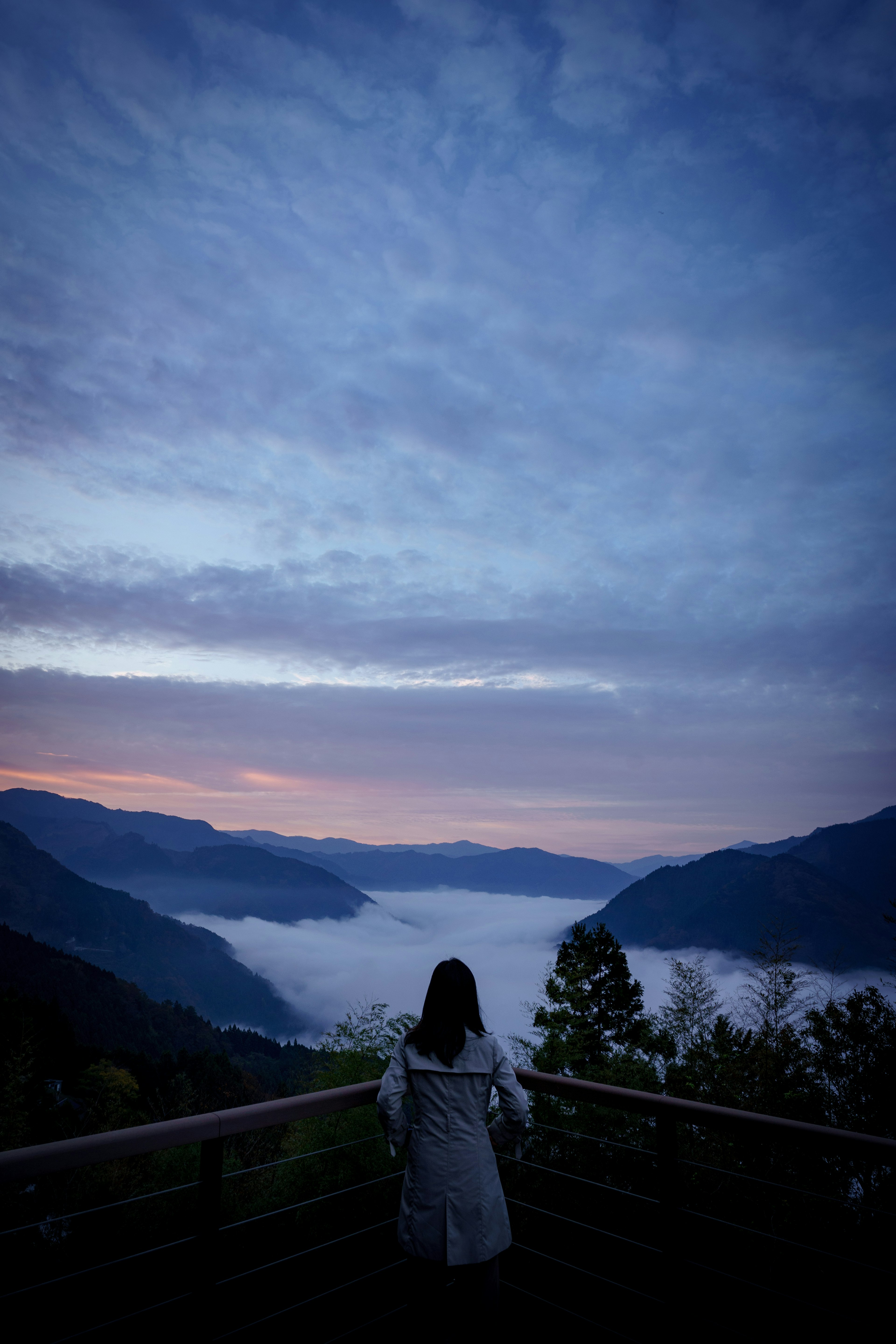 Una mujer mirando un valle brumoso al amanecer