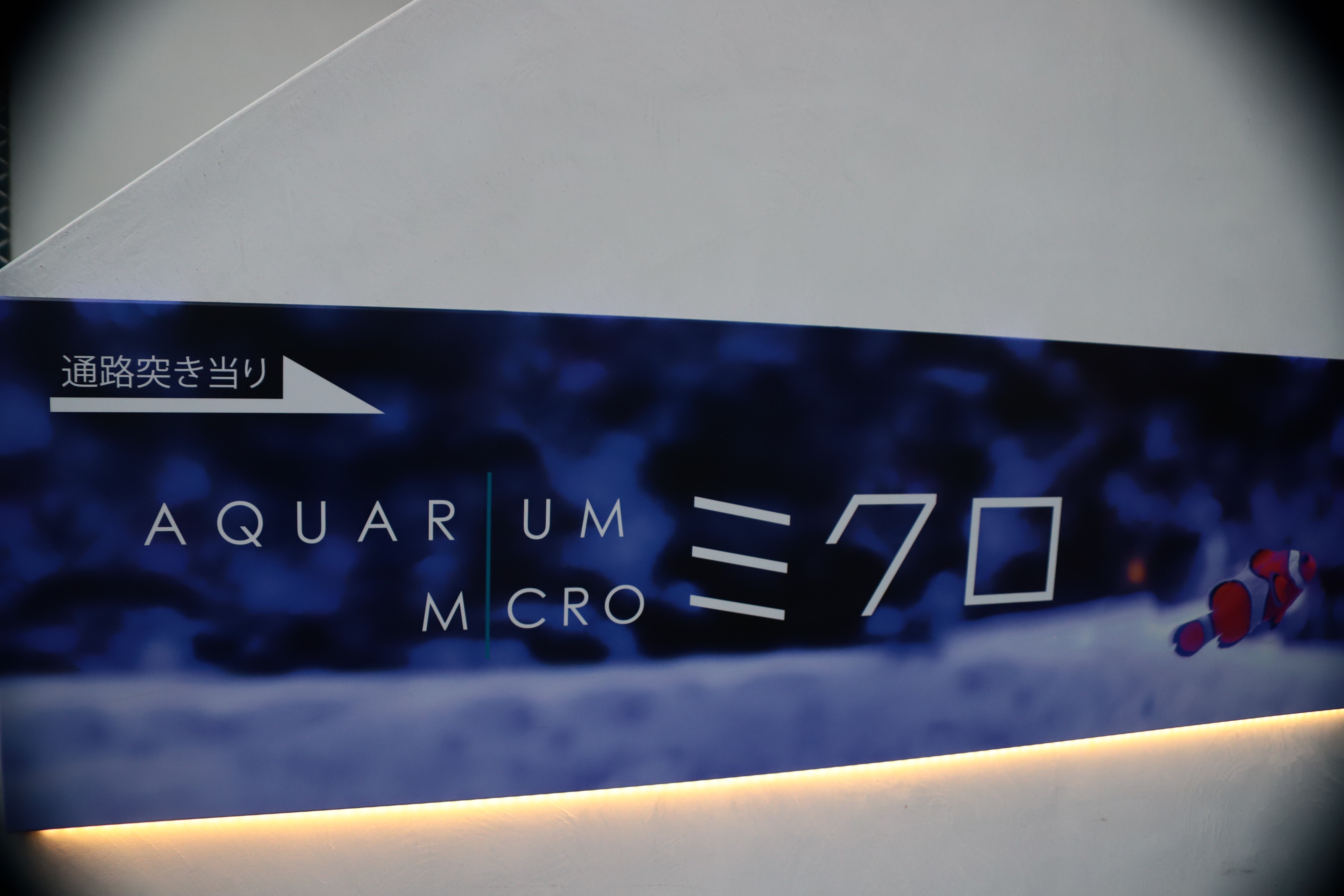 Biển hiệu có chữ 'AQUARIUM MICRO' trên nền màu xanh