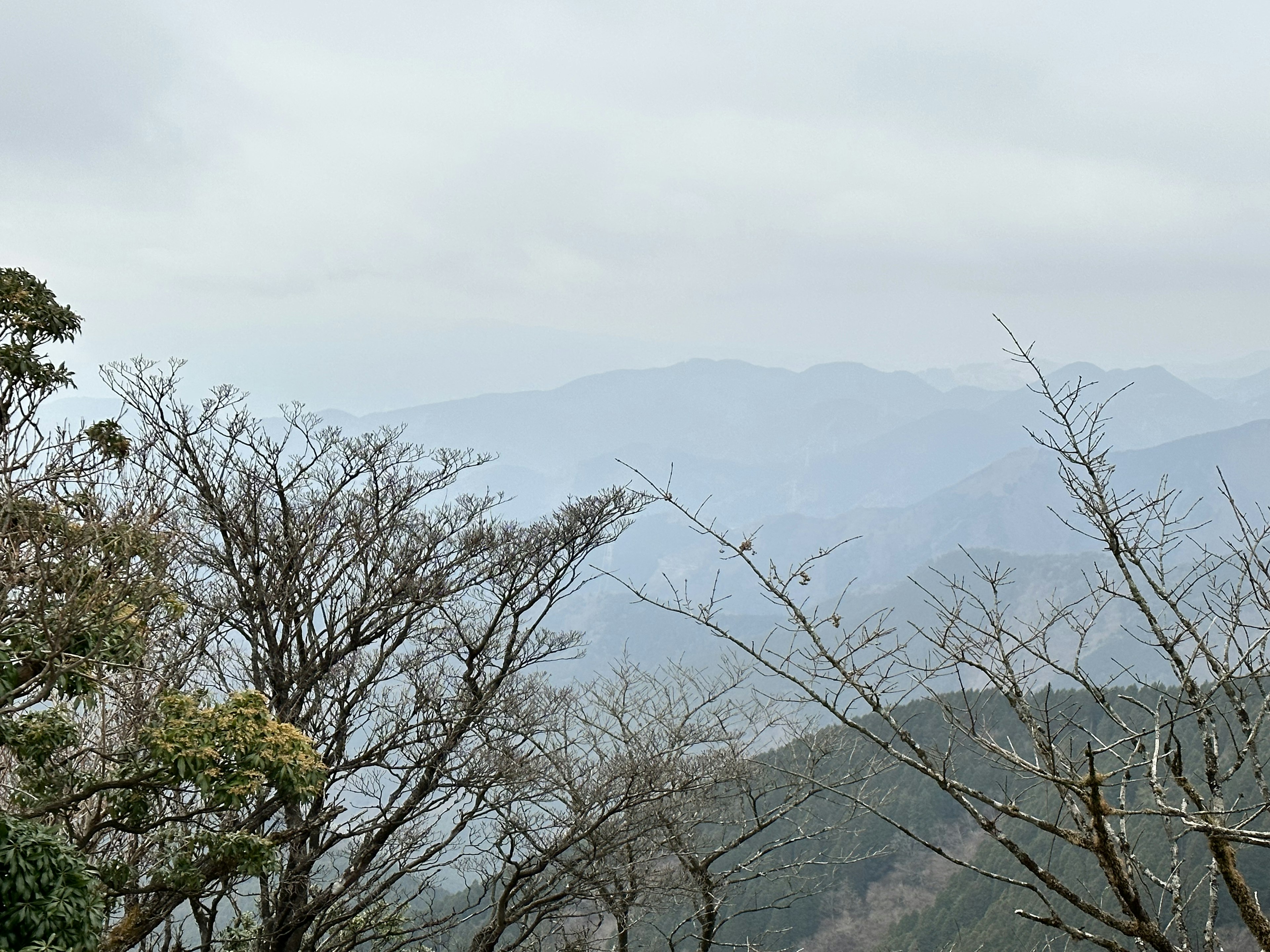 Mountain landscape with bare trees under a cloudy sky