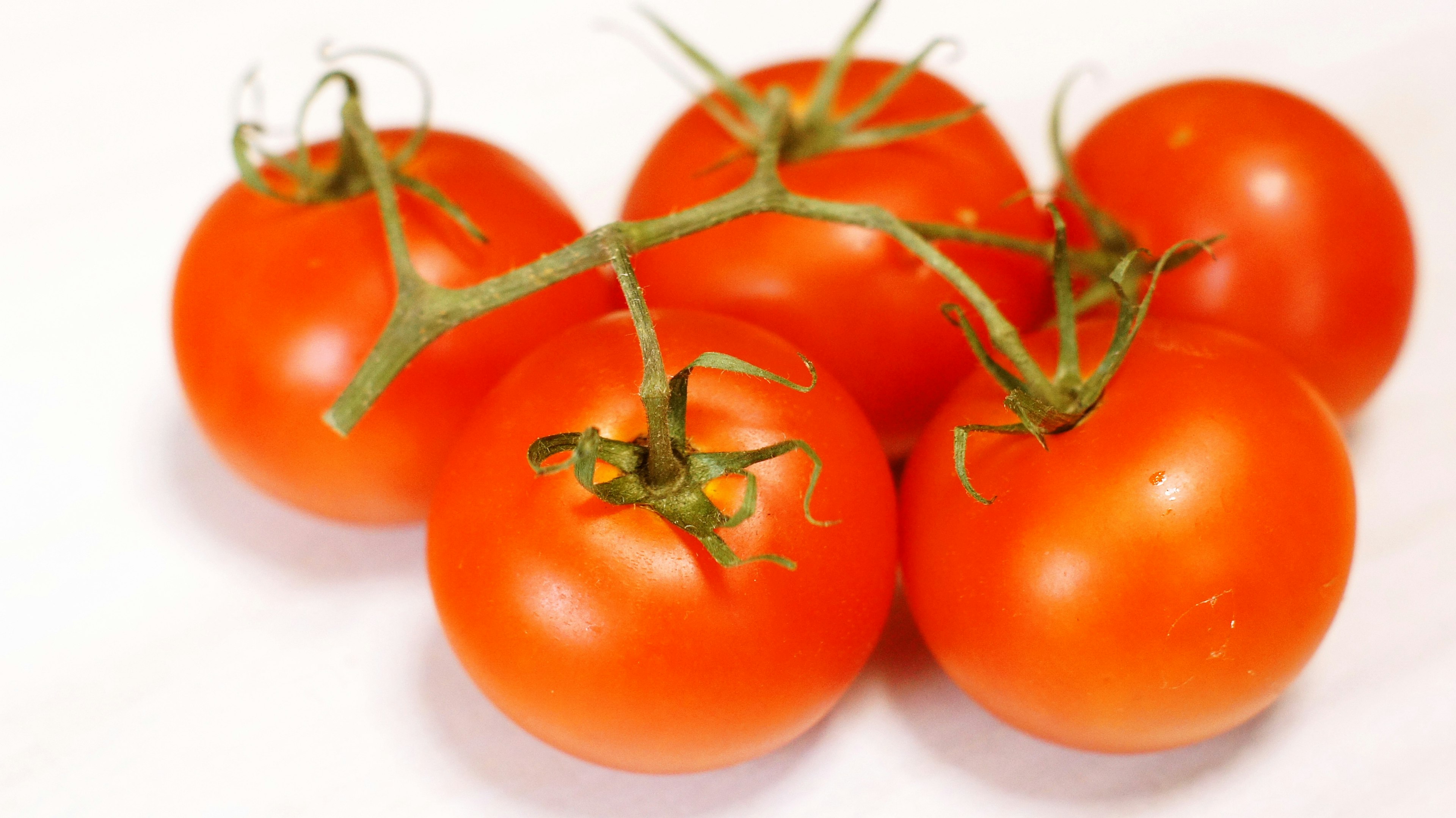 Five vibrant red tomatoes attached to a green stem