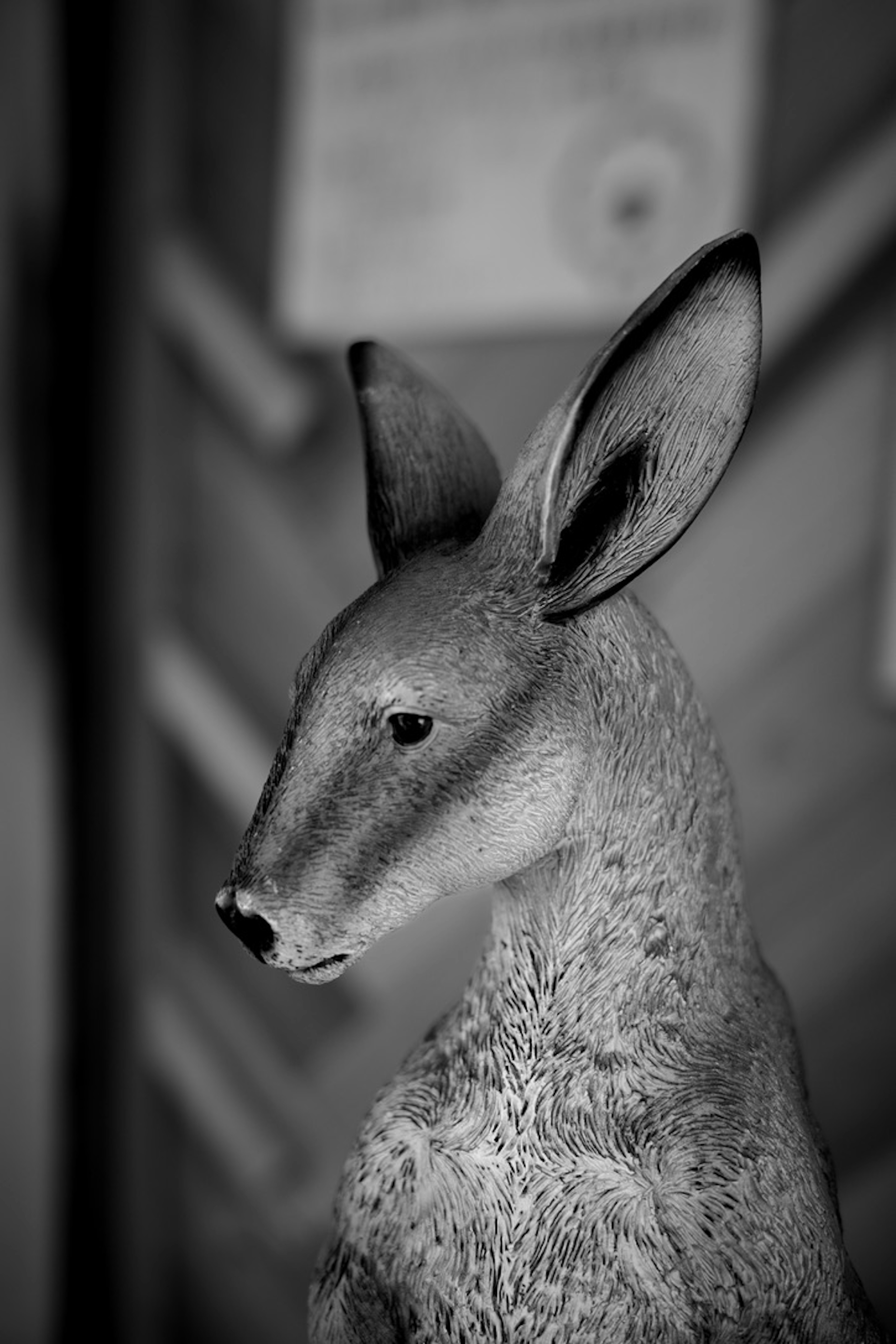 Seitenansicht einer präparierten Tierfigur in Schwarzweiß