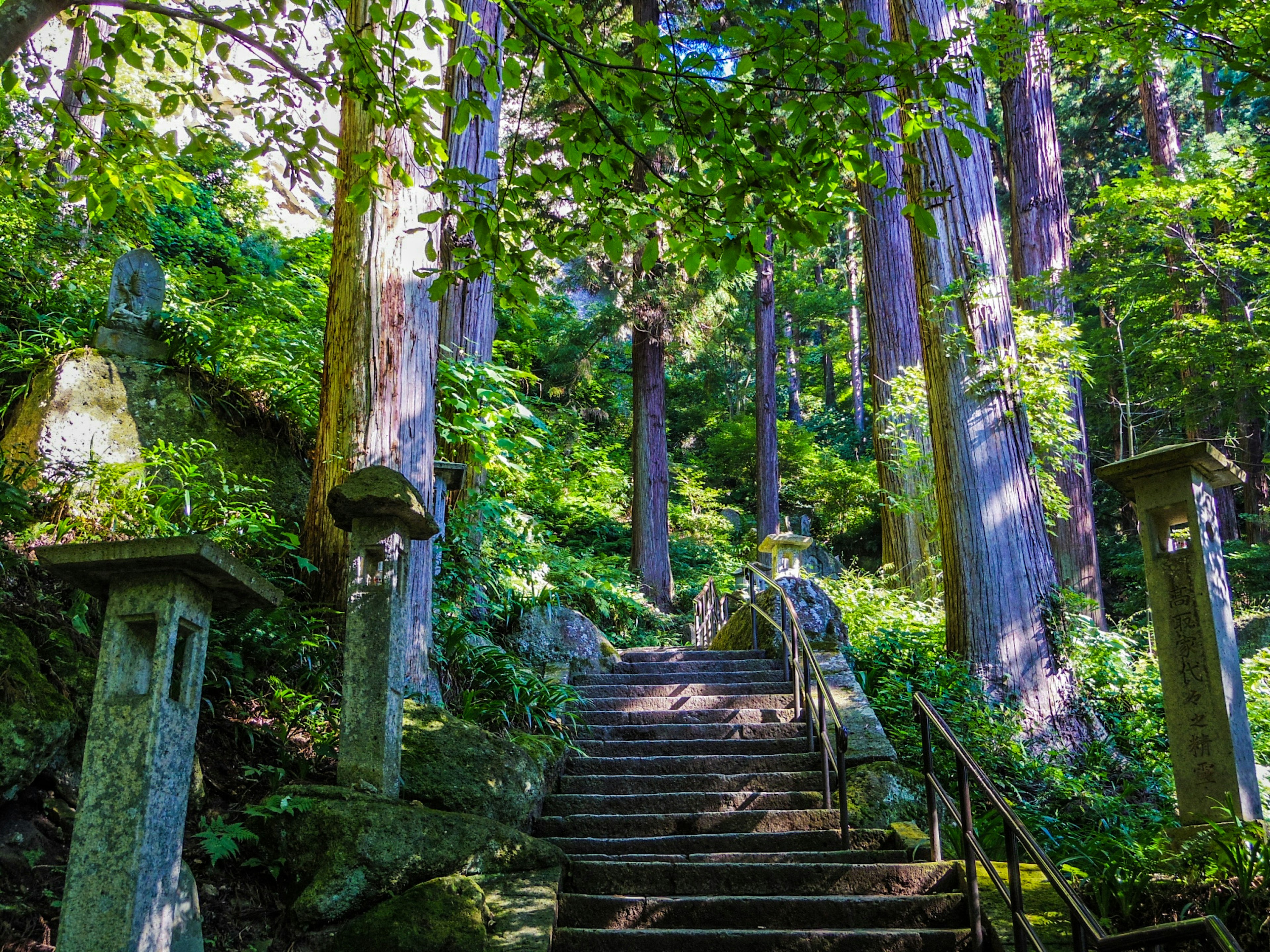 Escaleras de piedra y faroles en un bosque verde