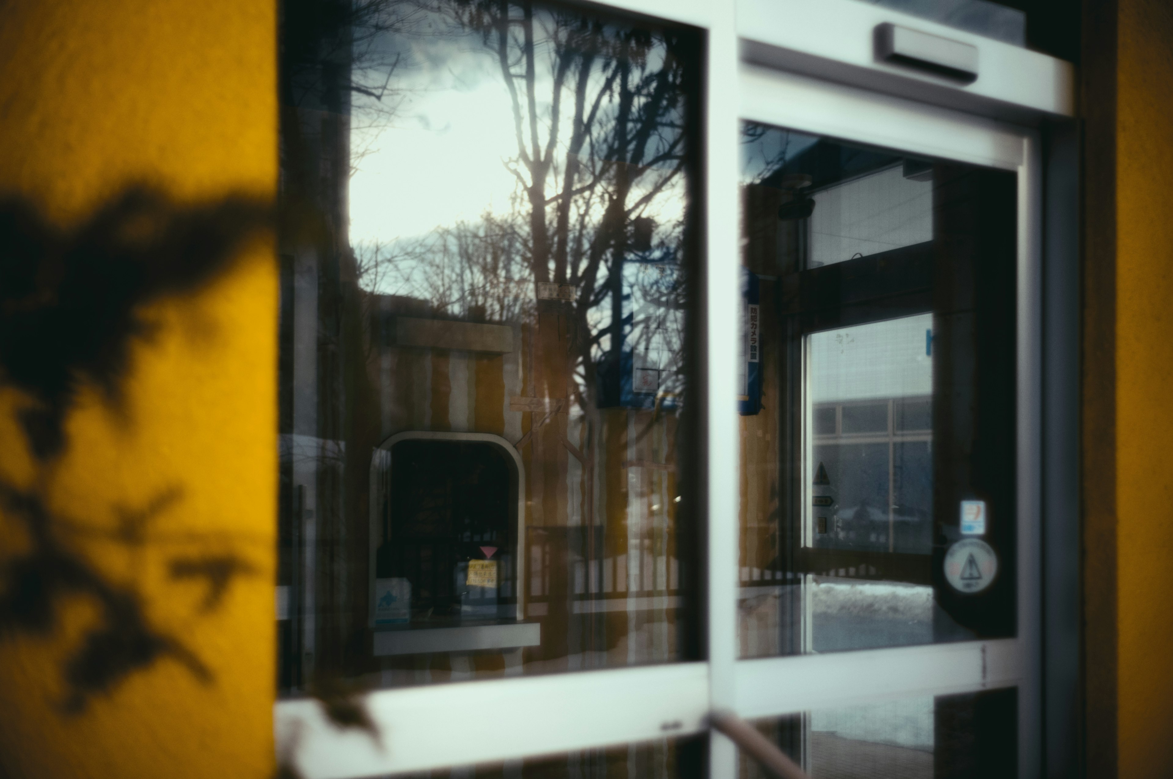 Riflesso di alberi e edifici su una porta di vetro con un muro giallo