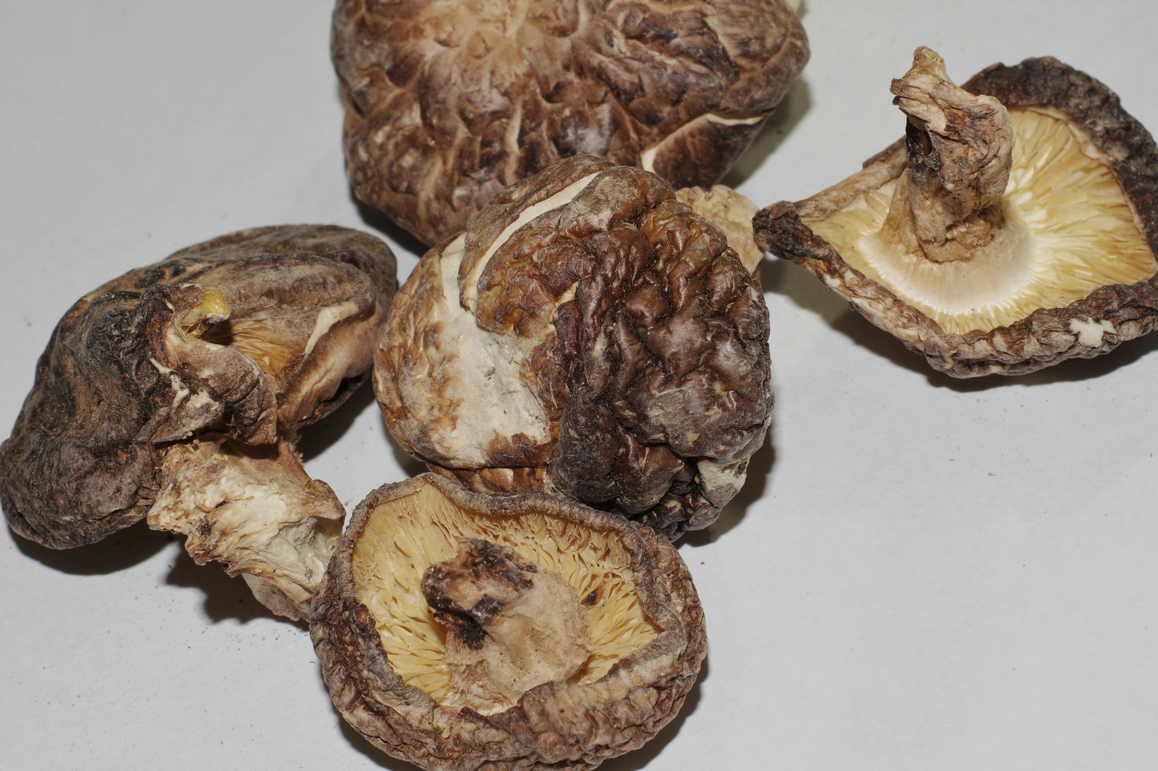 Dried shiitake mushrooms arranged on a surface