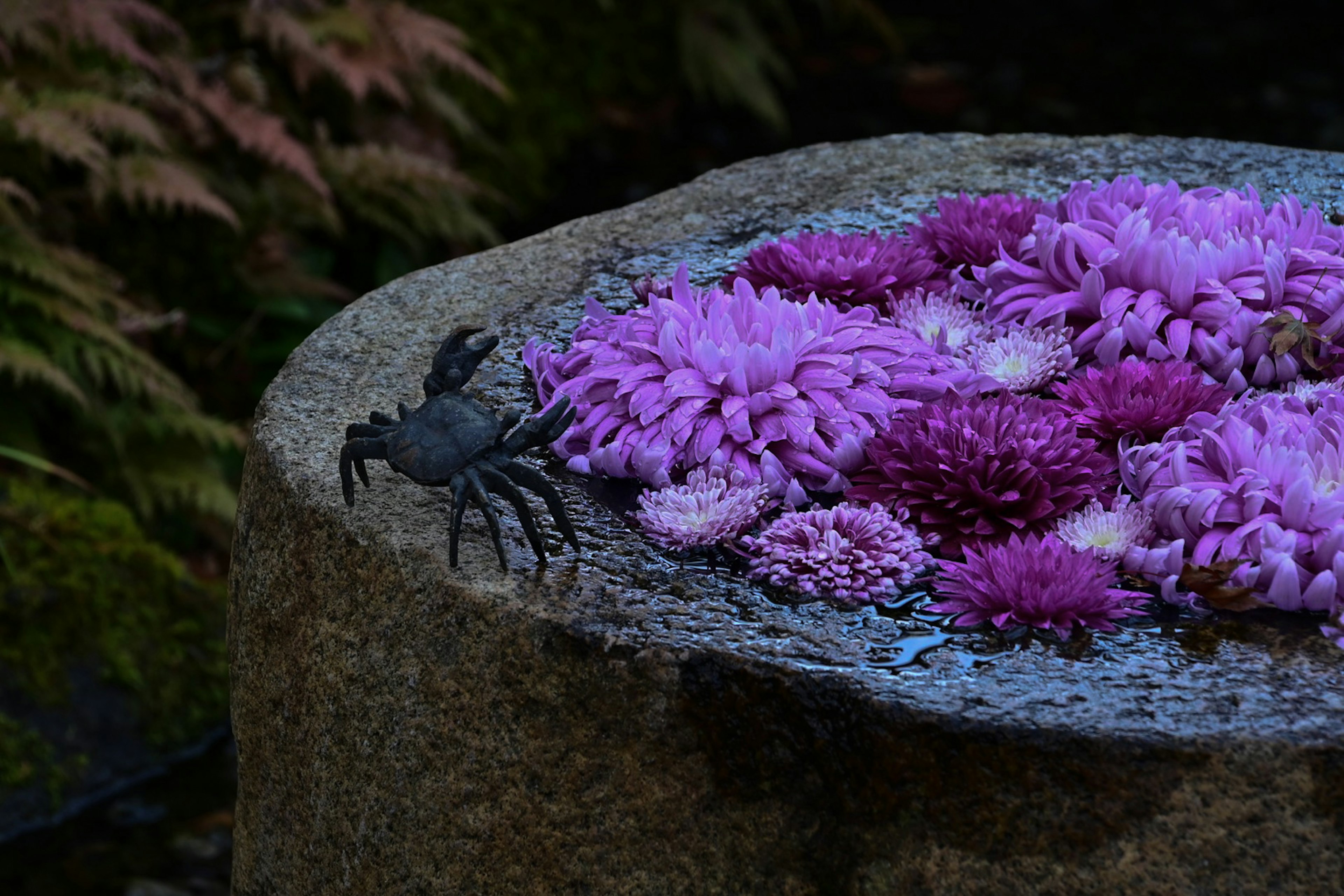 Image of a crab beside vibrant purple flowers on a stone