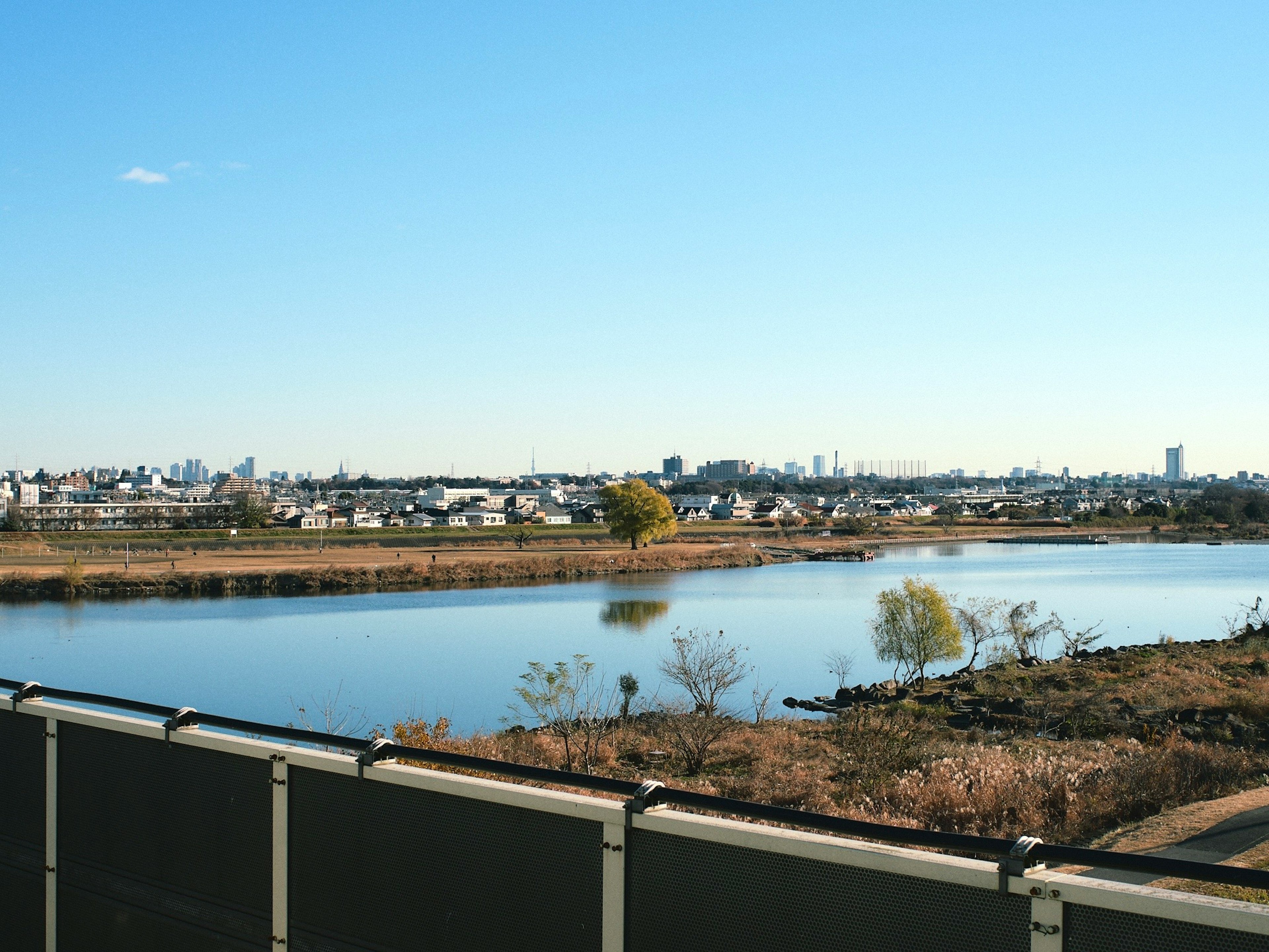 Un lac serein sous un ciel bleu clair avec une vue sur des maisons suburbaines