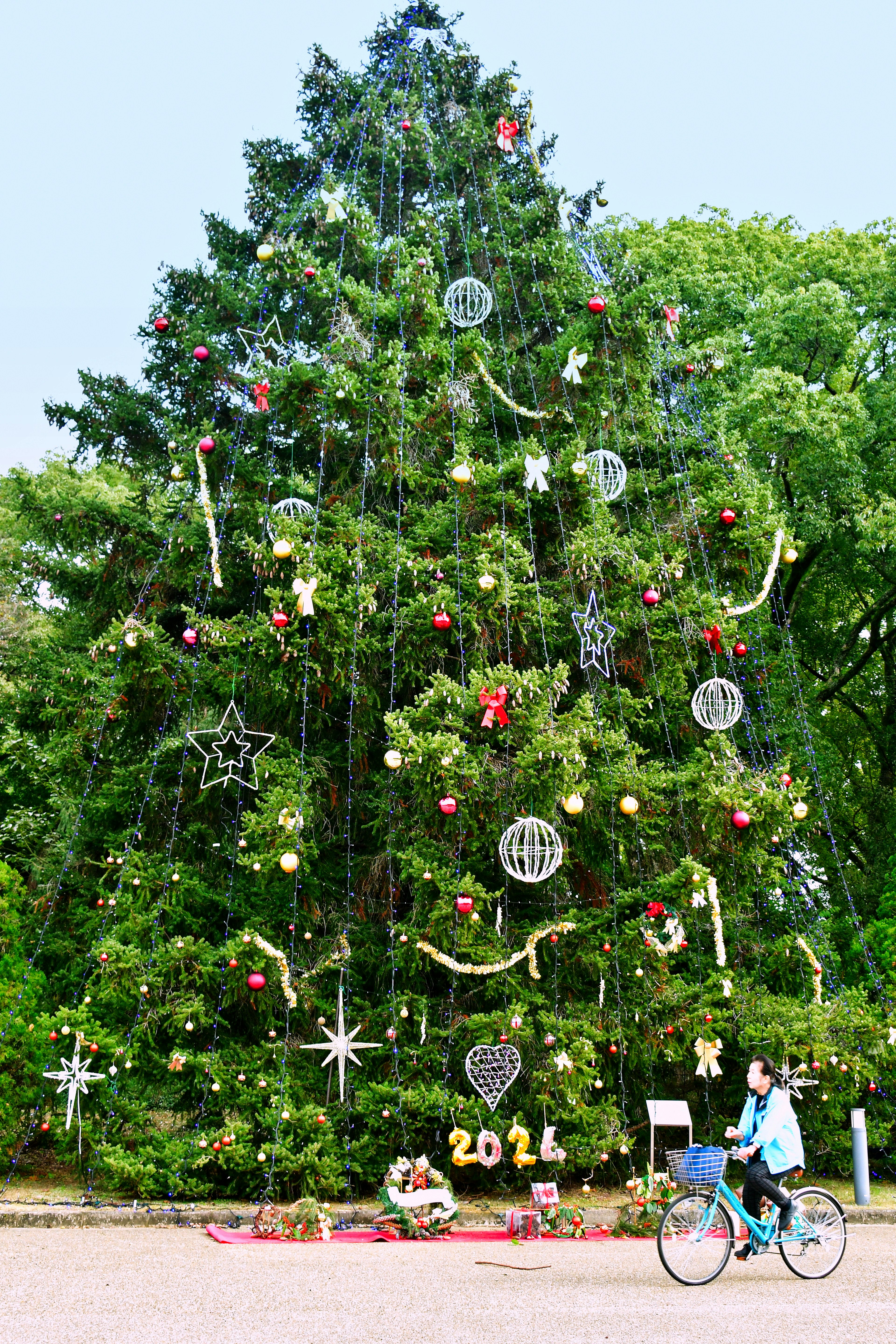 Geschmückter Weihnachtsbaum mit einer Person auf einem Fahrrad