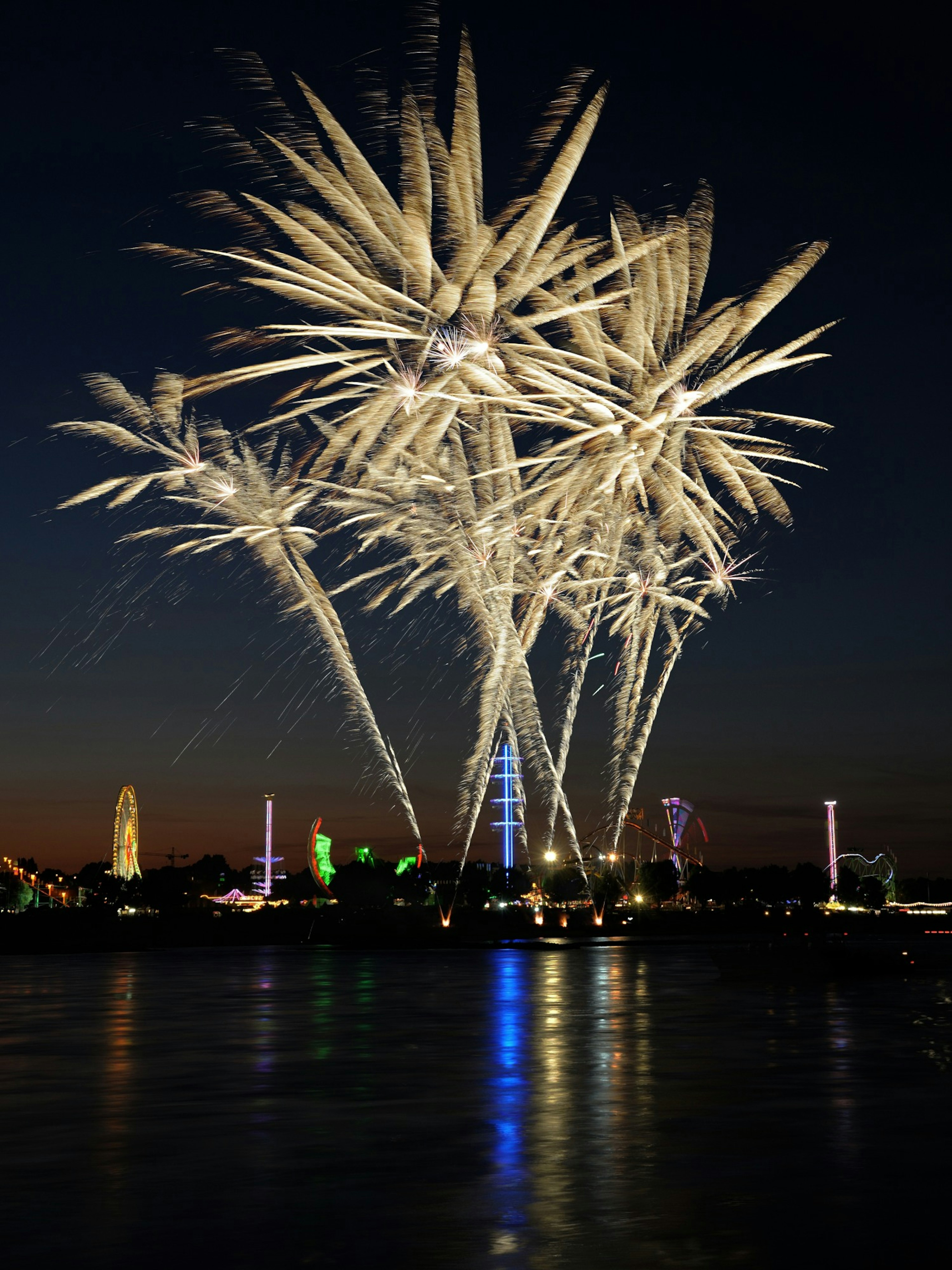 Vibrant fireworks display against a dark sky illuminating the night