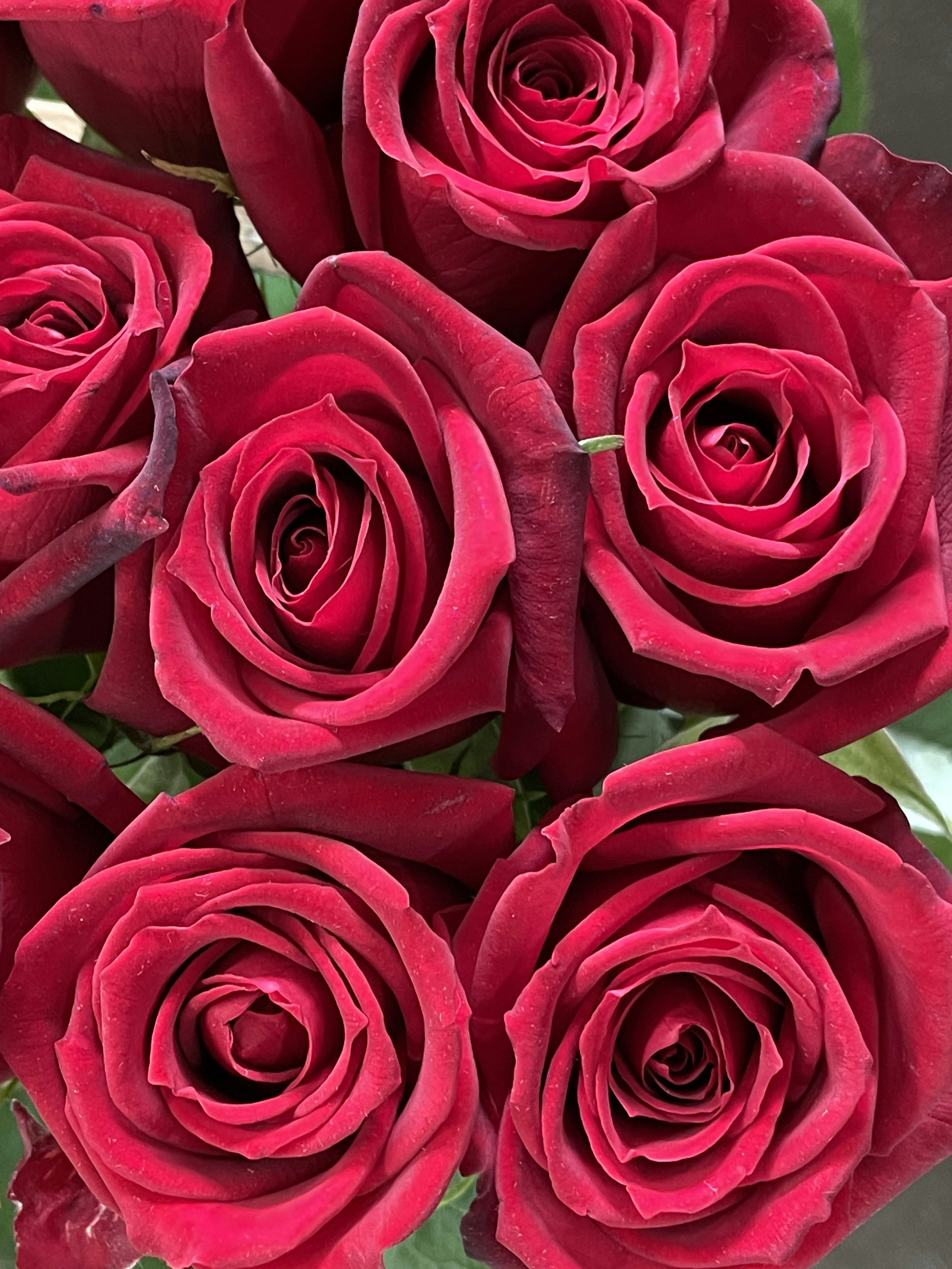 Primo piano di un mazzo di rose rosse con petali bellissimi e foglie verdi