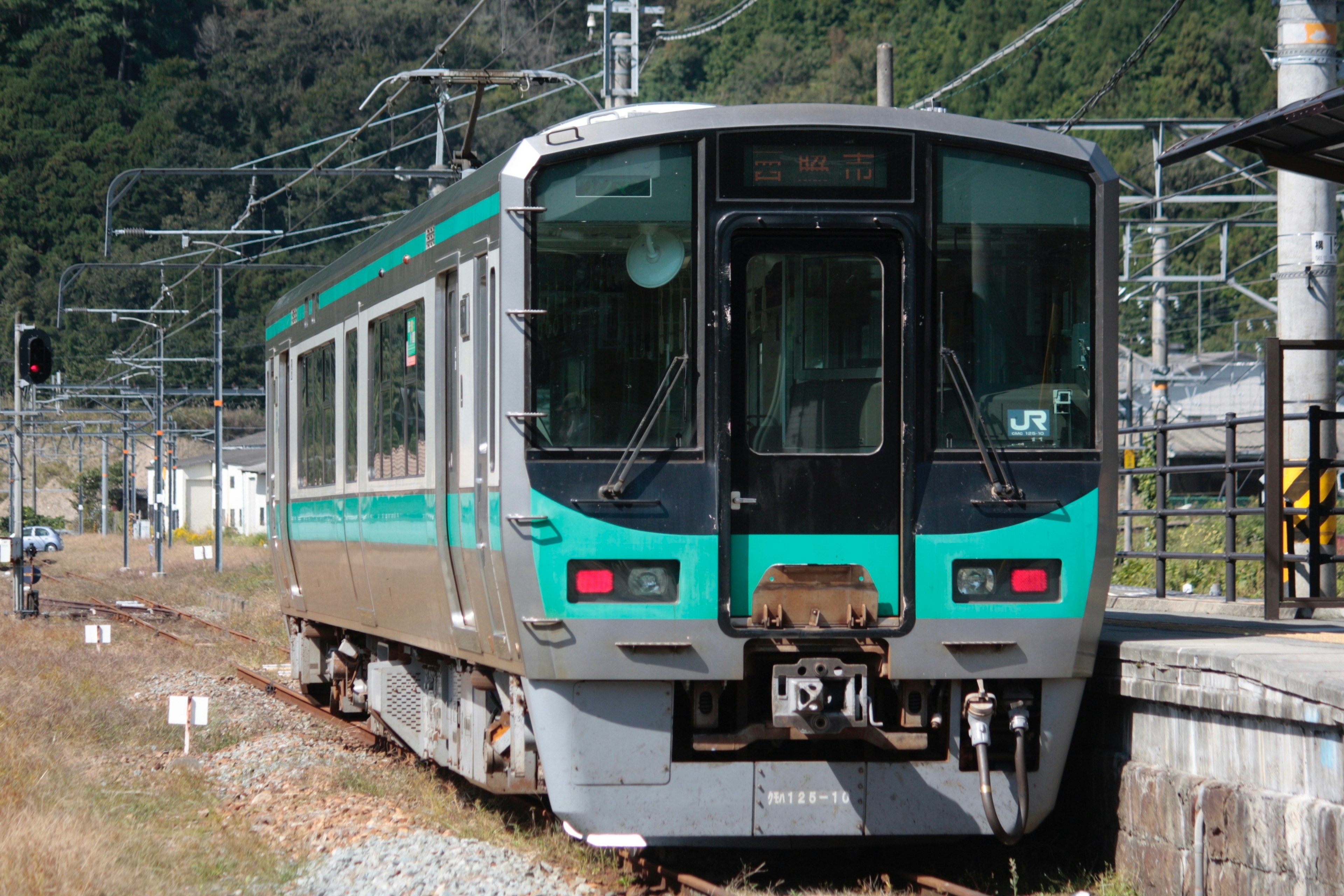 緑色のストライプが特徴の日本の電車が駅に停車中