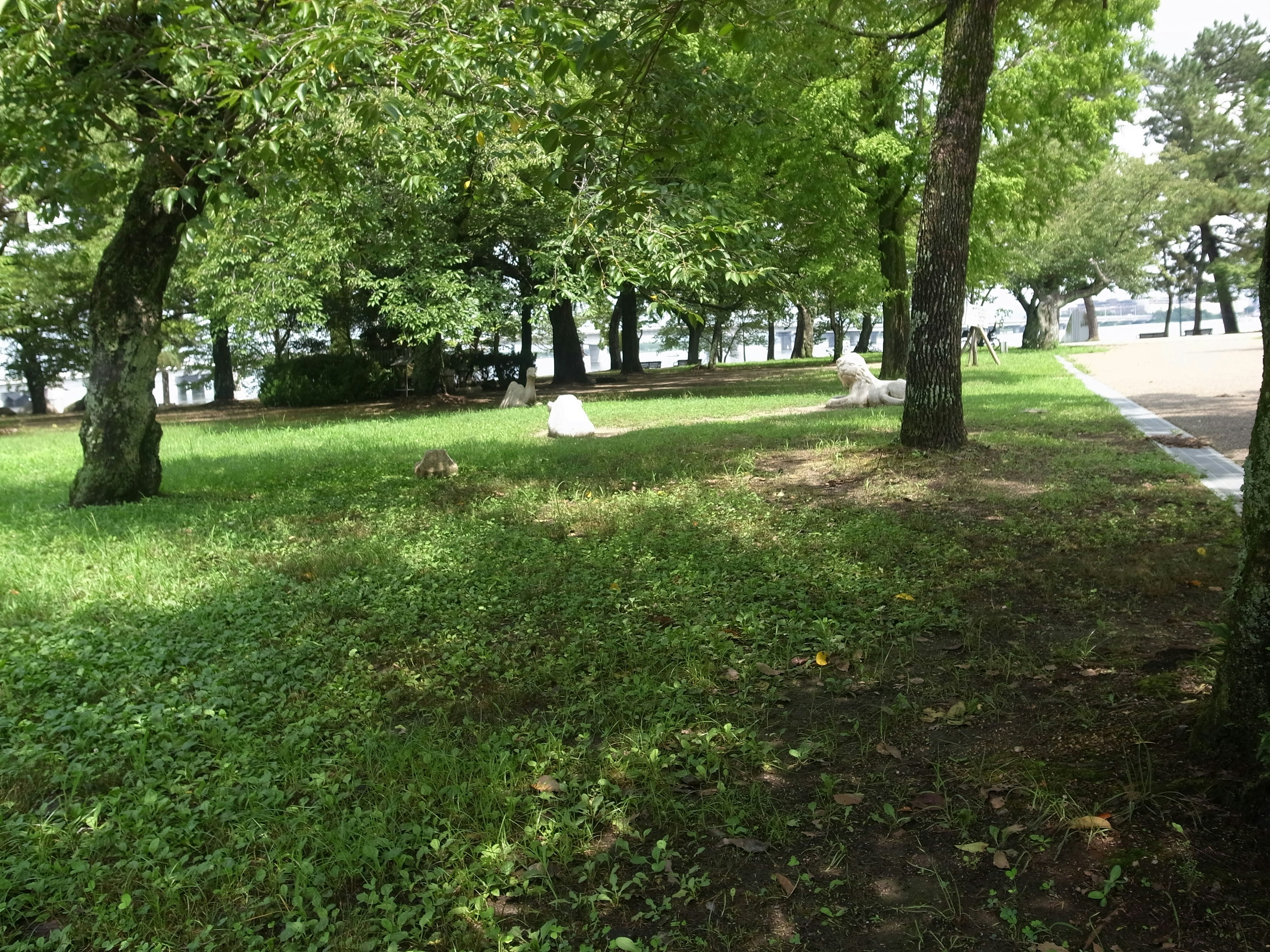 Lush green park with grass and trees