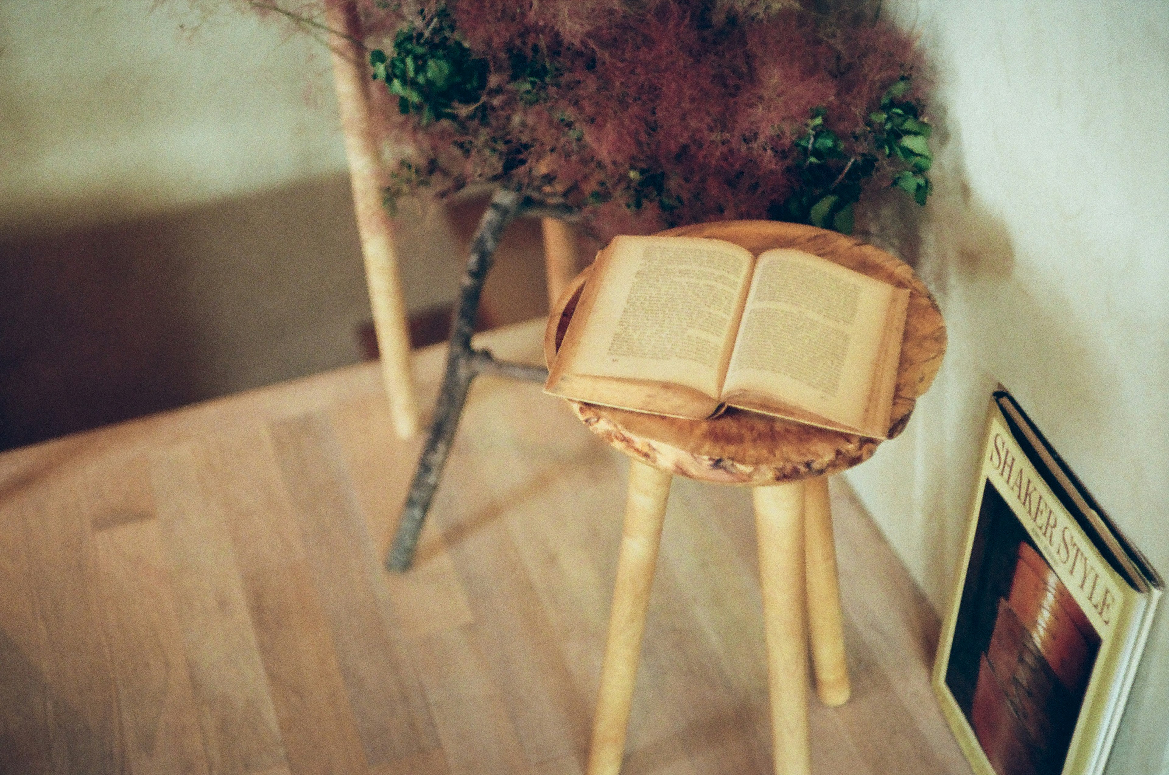 Offenes Buch auf einem Holzschemel mit dekorativen Pflanzen im Hintergrund