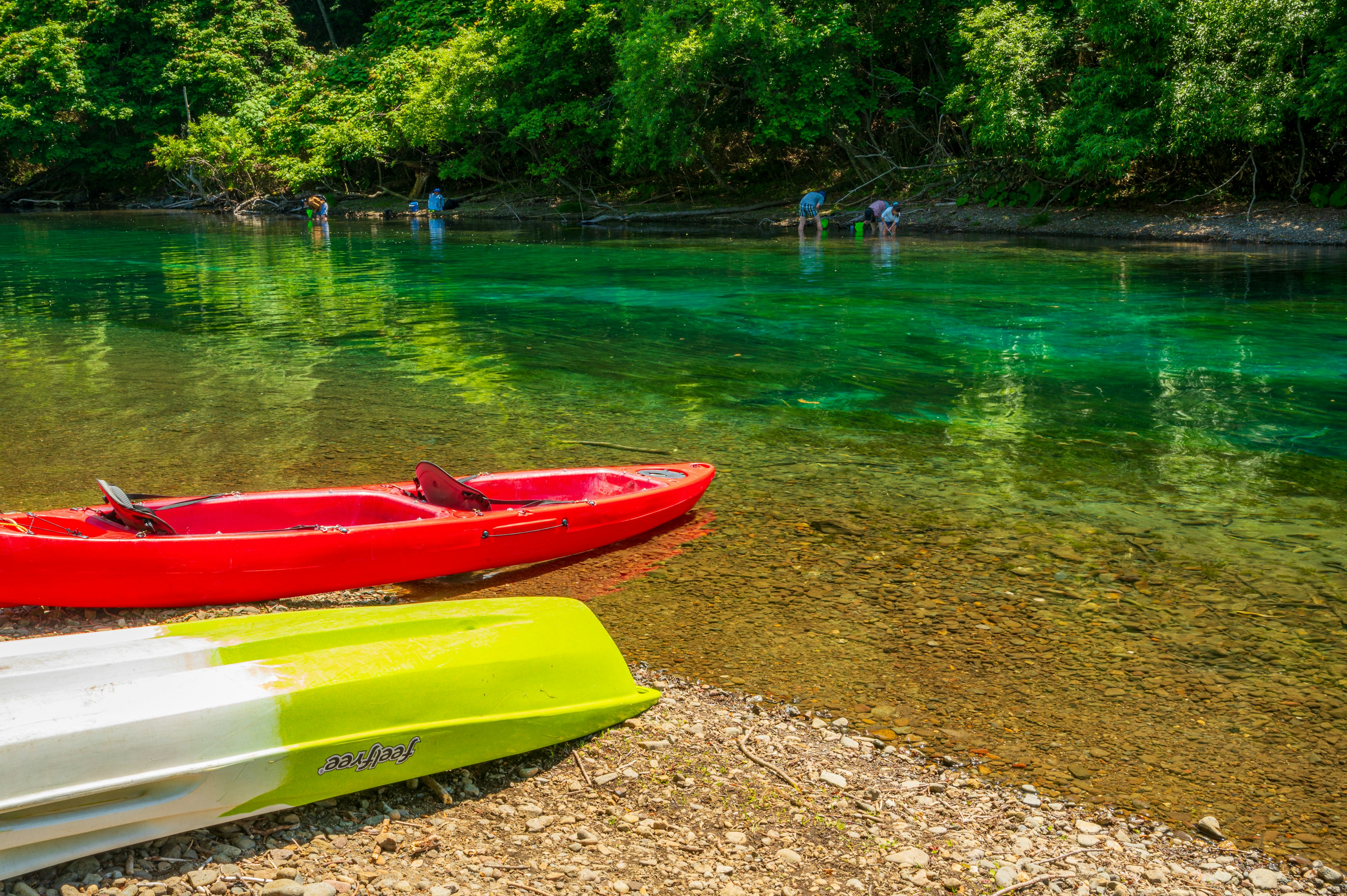 Red kayak and green kayak on the shore with lush green trees and clear water in the background