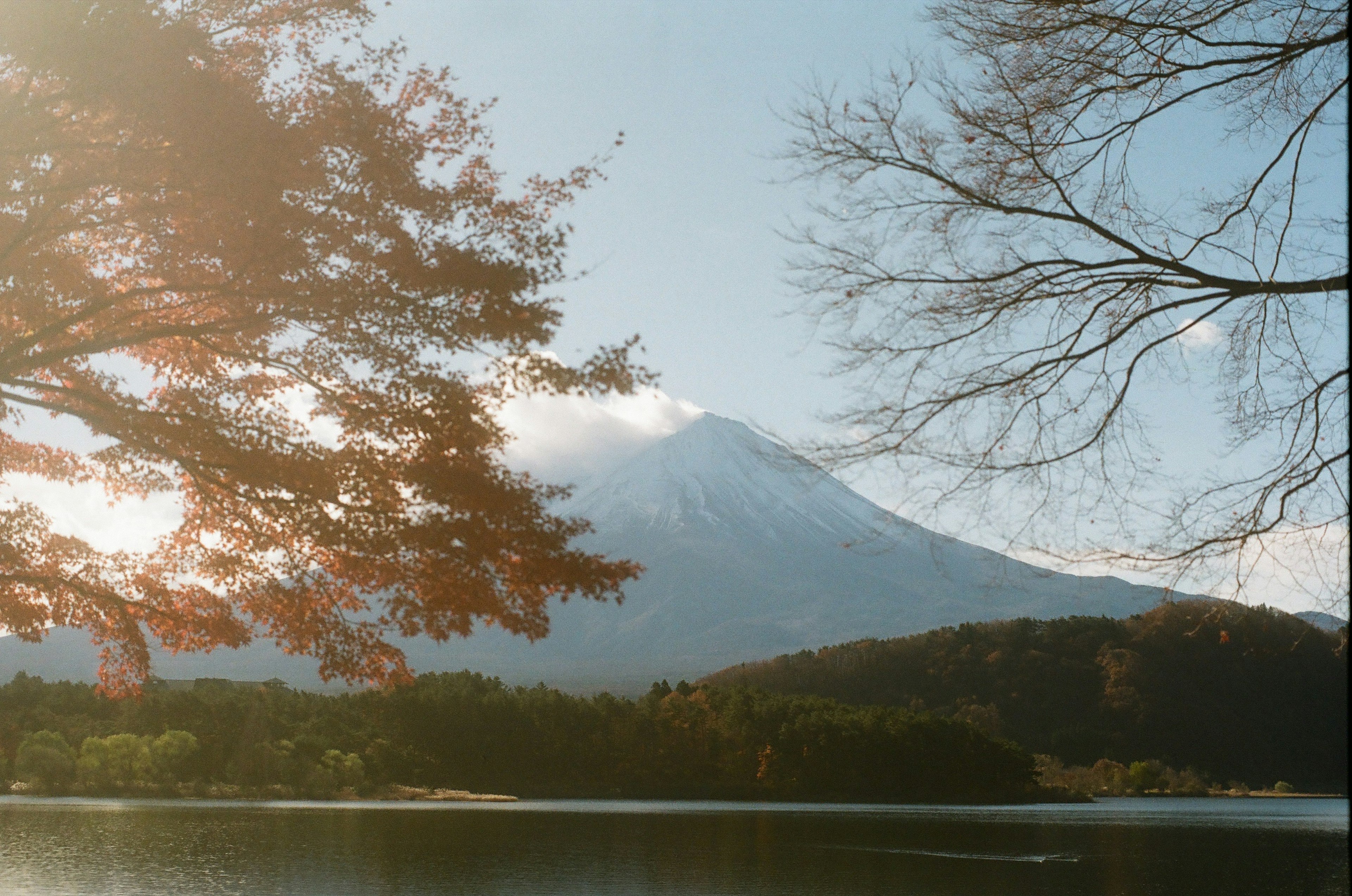 美しい富士山の風景と秋の紅葉