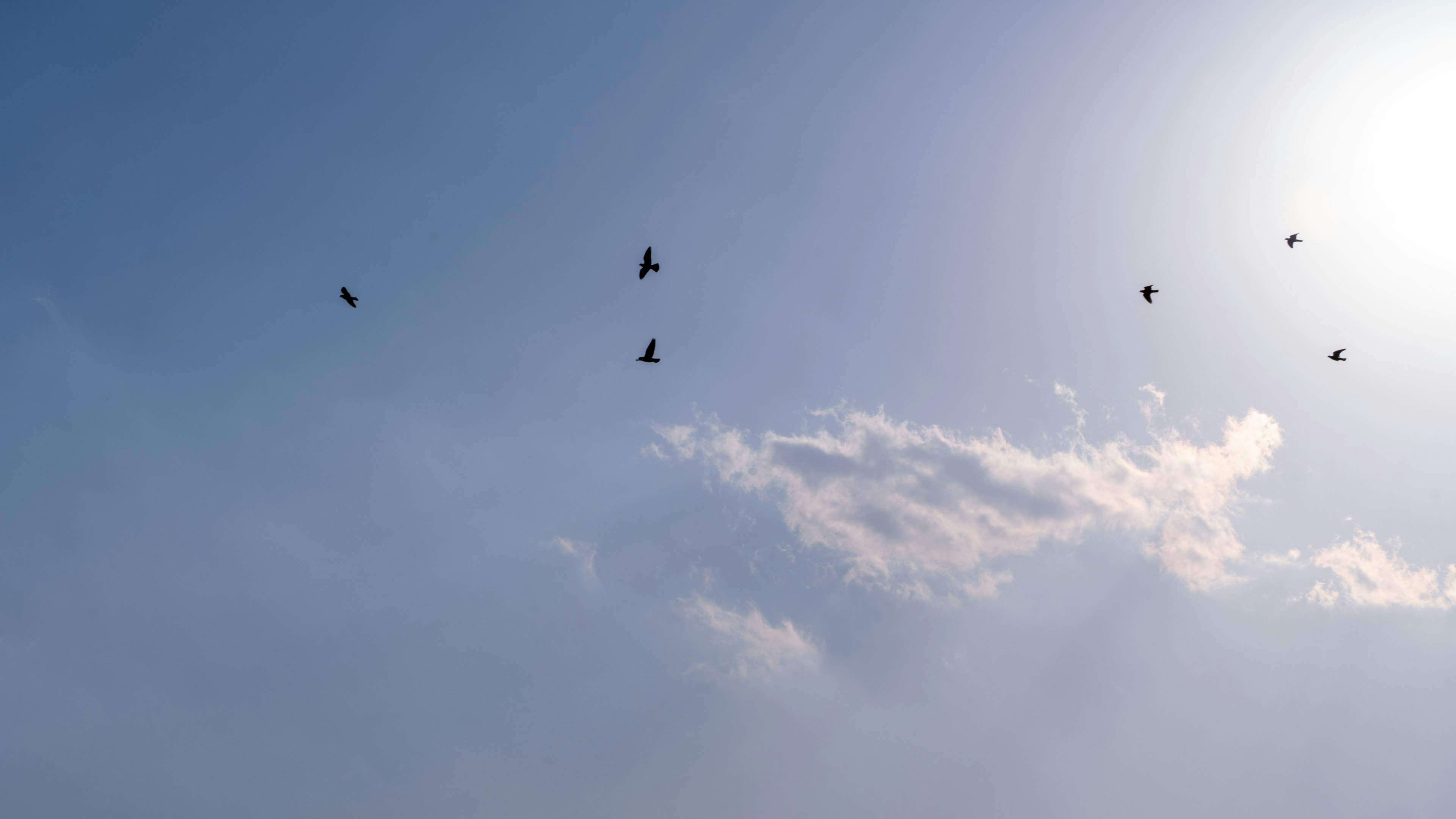 Cometas volando en un cielo azul claro con nubes