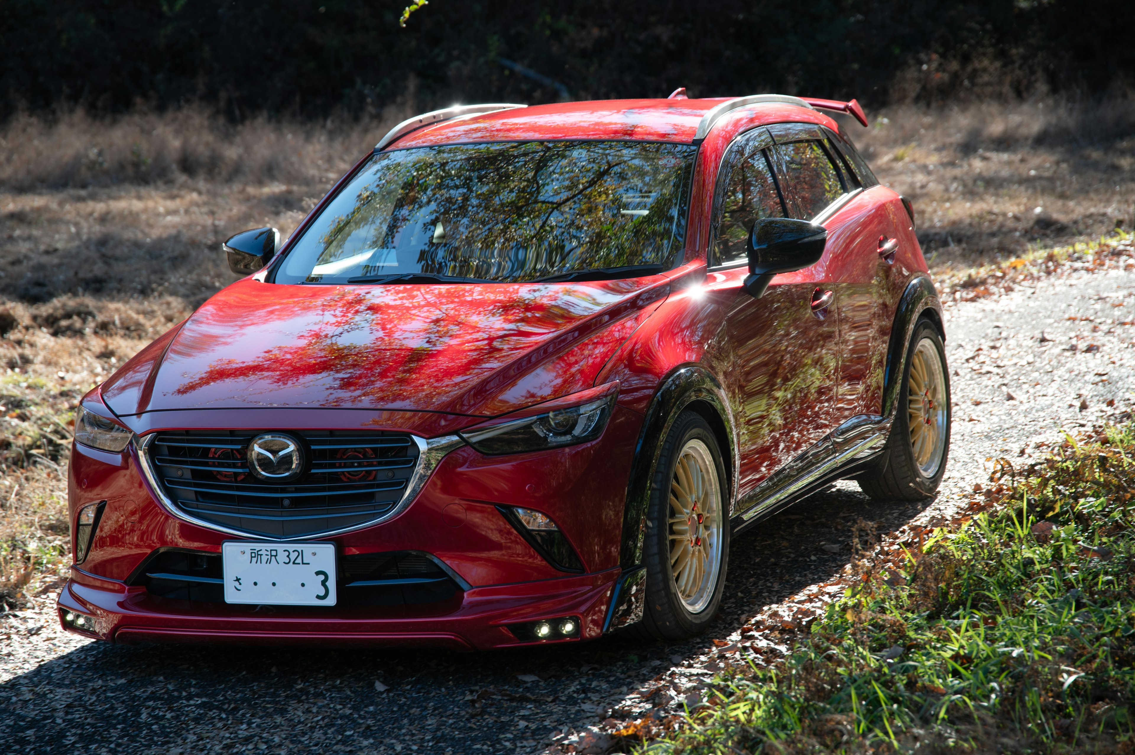 SUV rosso Mazda che guida su un sentiero erboso