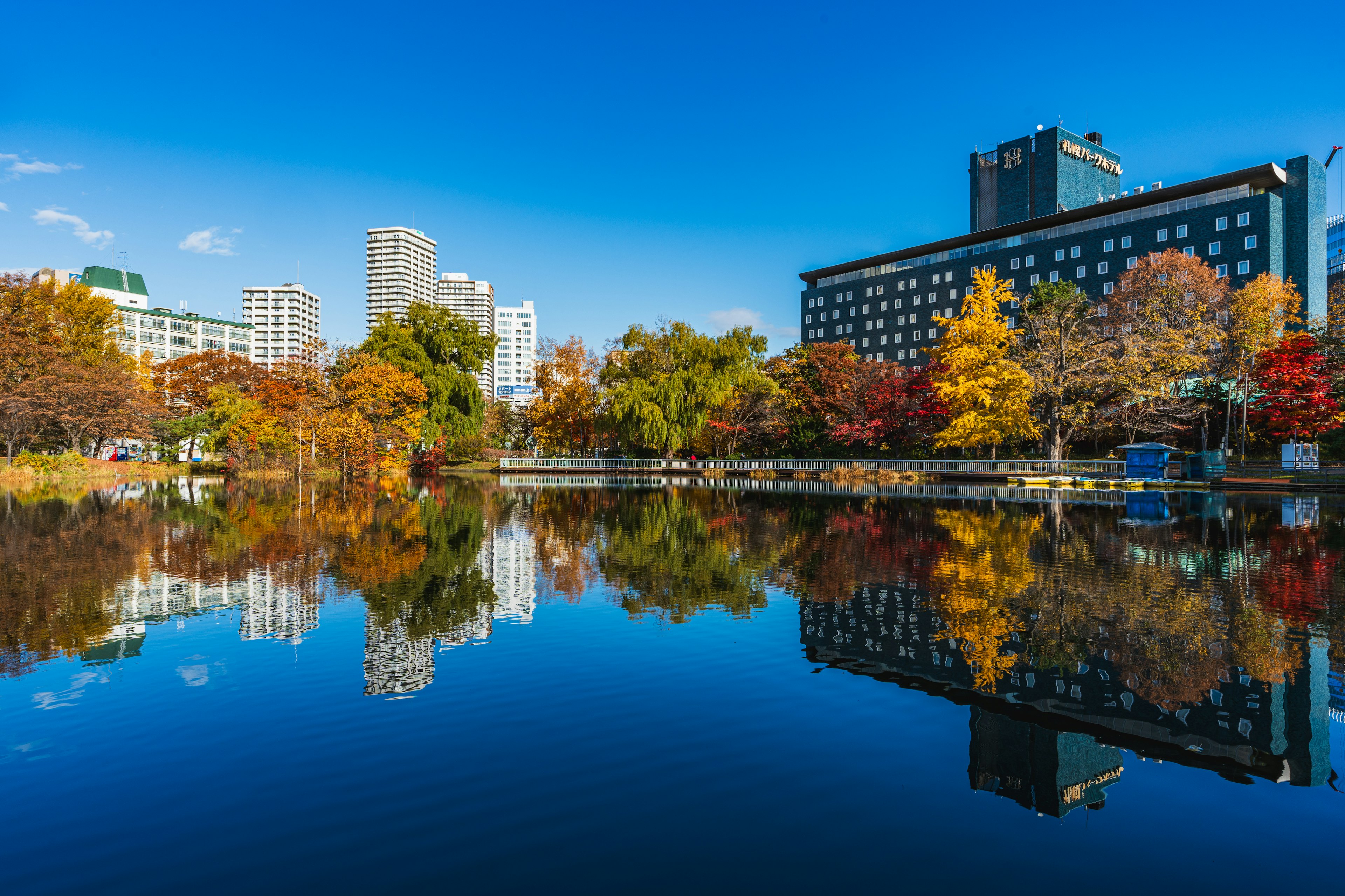 Follaje de otoño reflejándose en un estanque sereno con un horizonte urbano