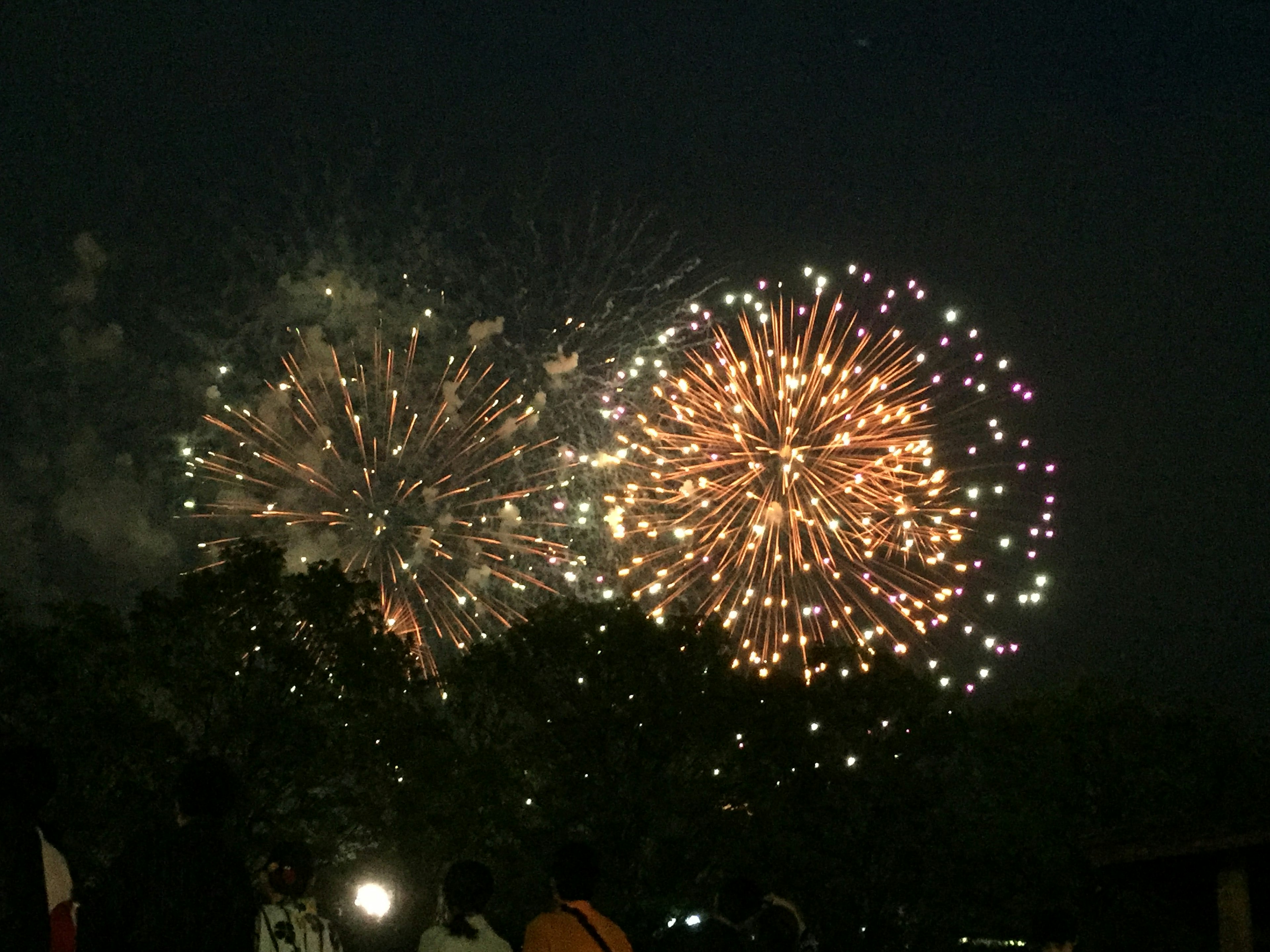 Fuochi d'artificio colorati che esplodono nel cielo notturno con luci vivaci