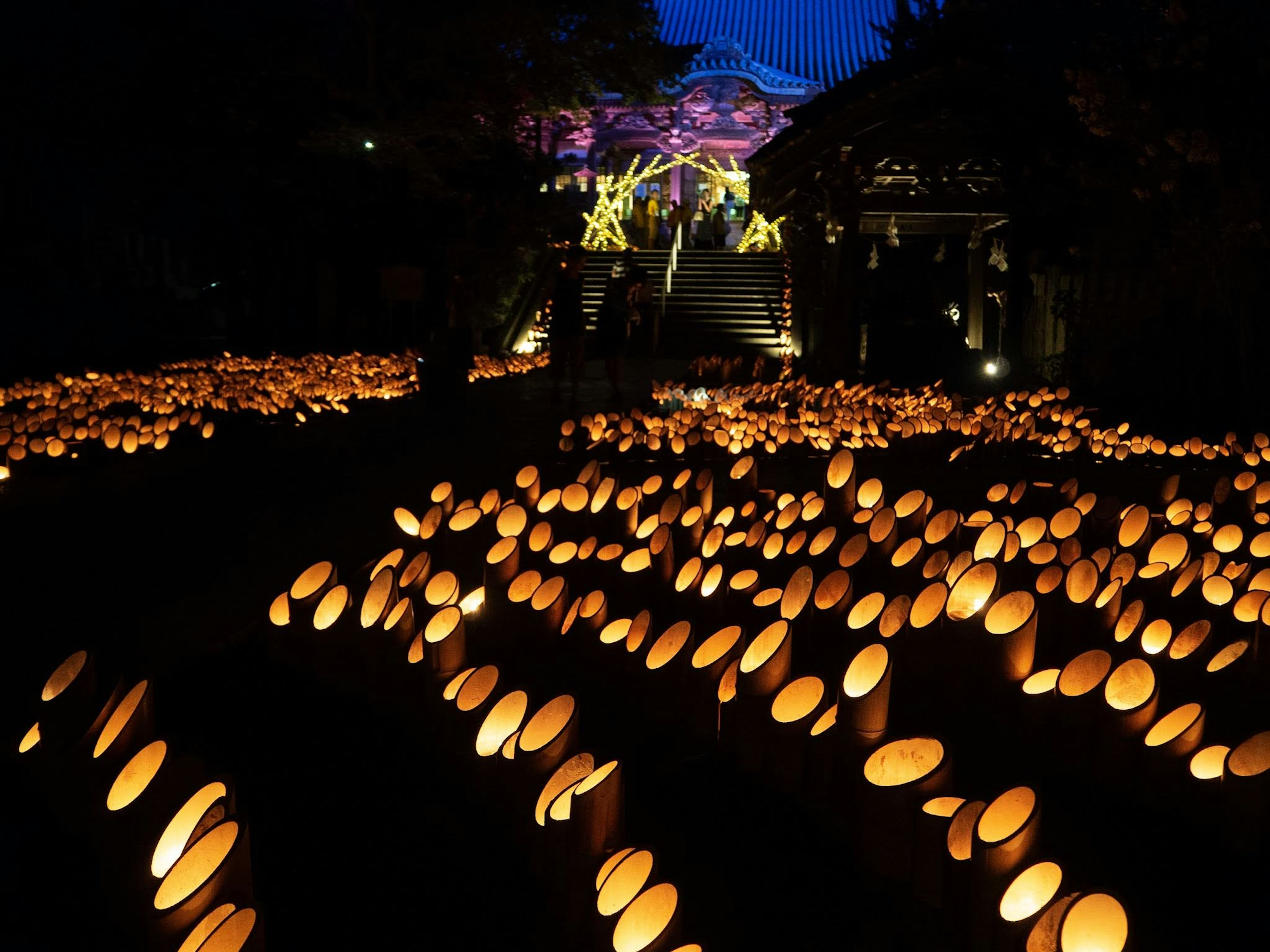 Zahlreiche Laternen breiten sich in einem Garten aus und schaffen eine magische Atmosphäre in der Nacht